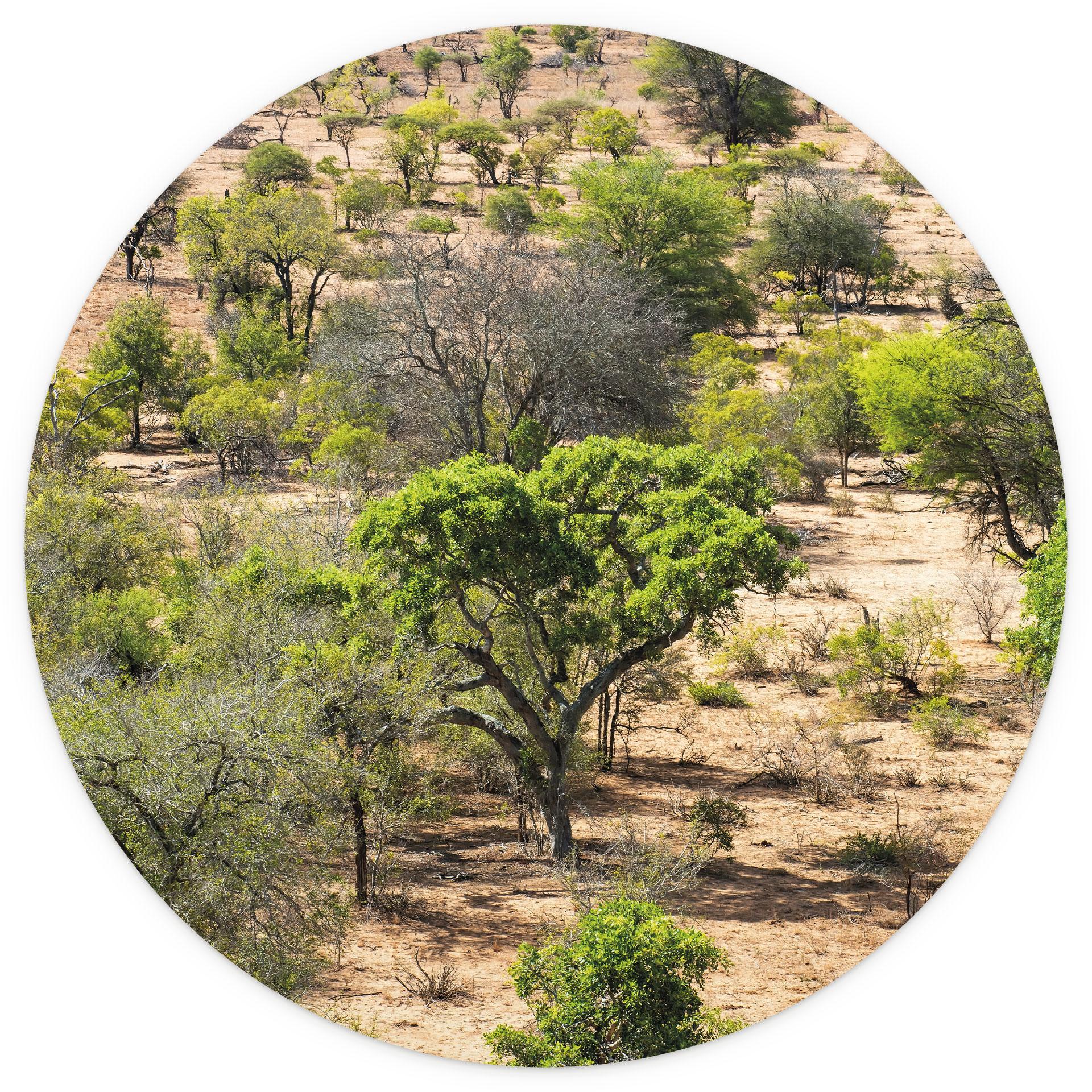 Afrikaans savanne landschap Fotobehang - Hugonnard - Rond - vliesbehang/zelfklevend vliesbehang
