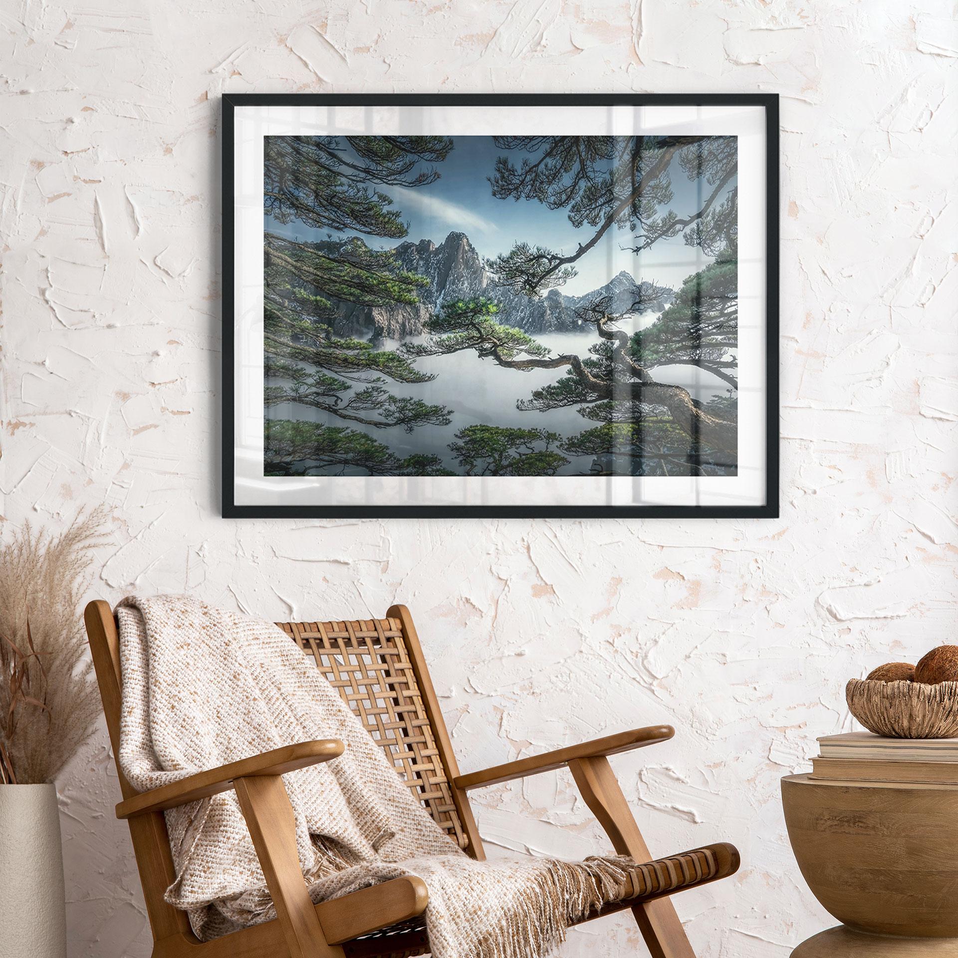 Plakat Fyrreskov i Huang Shan-bjergene - NingYun Ye