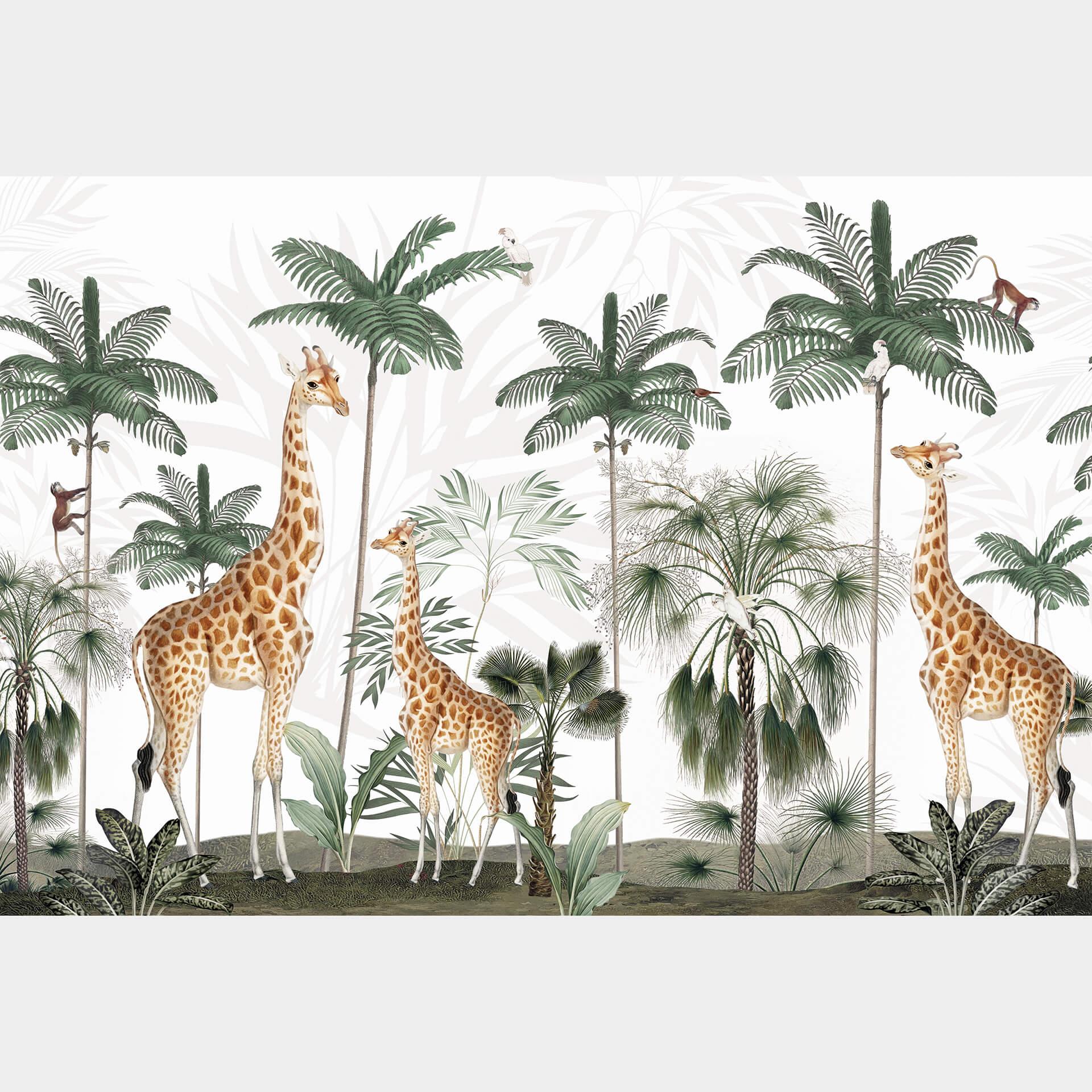 Fototapete Kikki Belle - Die Giraffen
