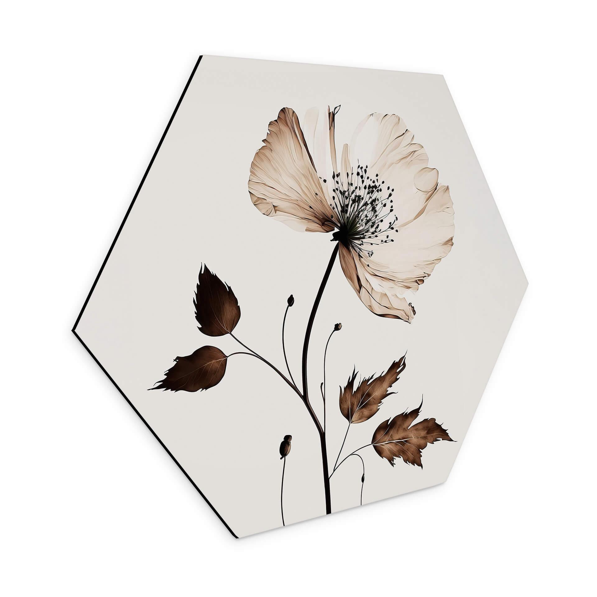 Hexagon Dibond Dried Flowers in Cream - Treechild