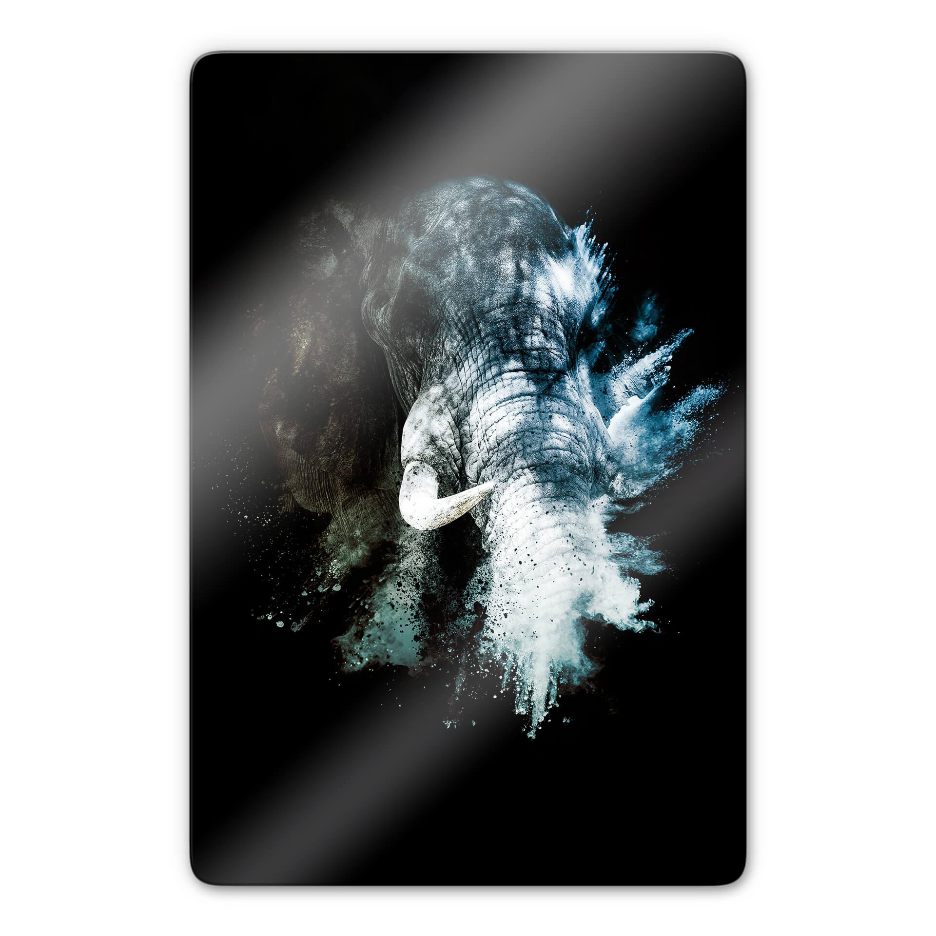 Tableau en verre - Hugonnard Wild Explosion : Eléphant
