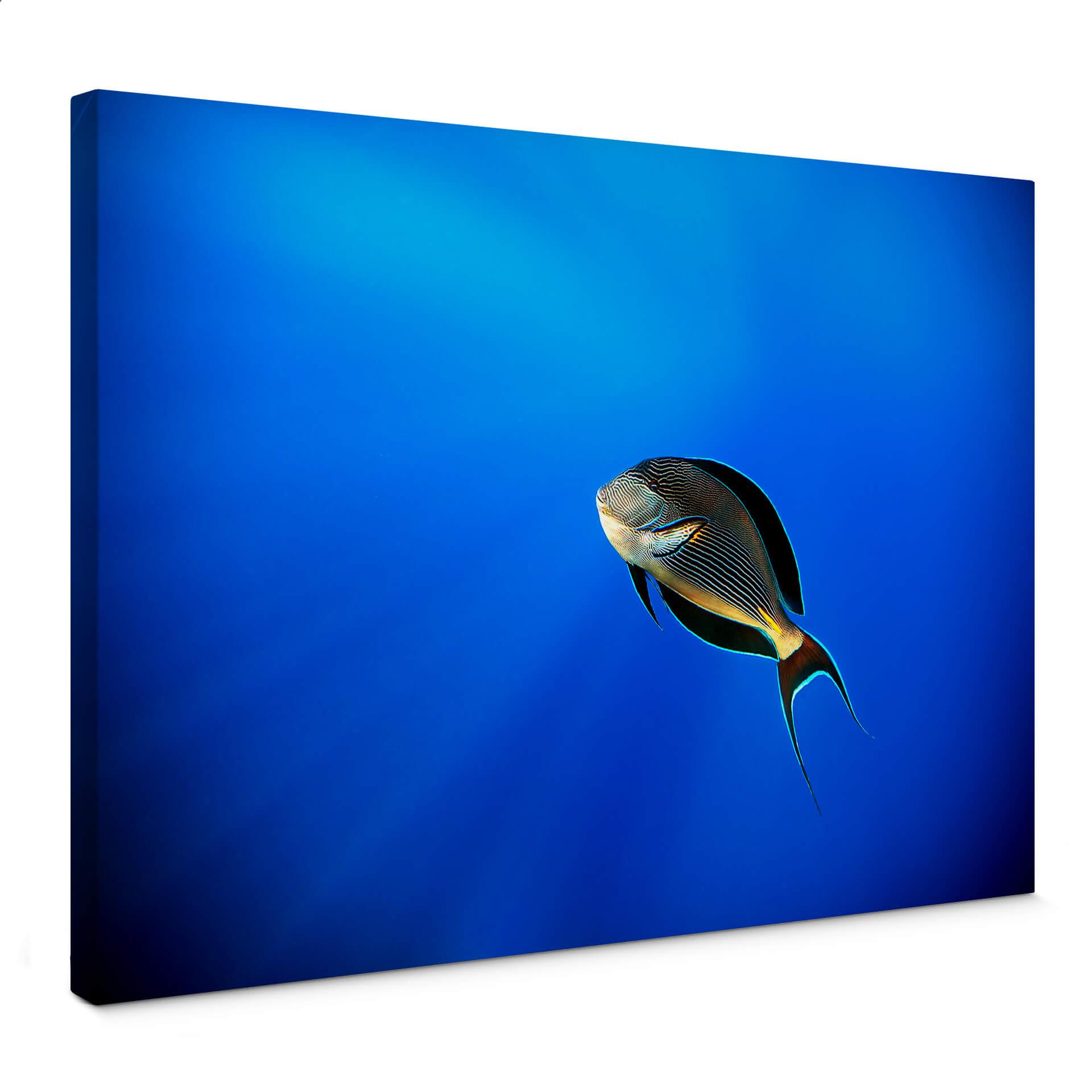 Canvasbillede - Catta - Deep Ocean