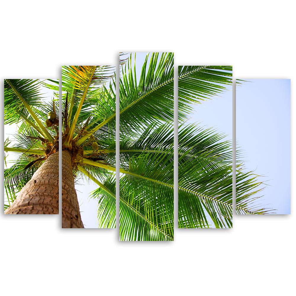 Canvasdoek 5 stuks, palmboom zee strand