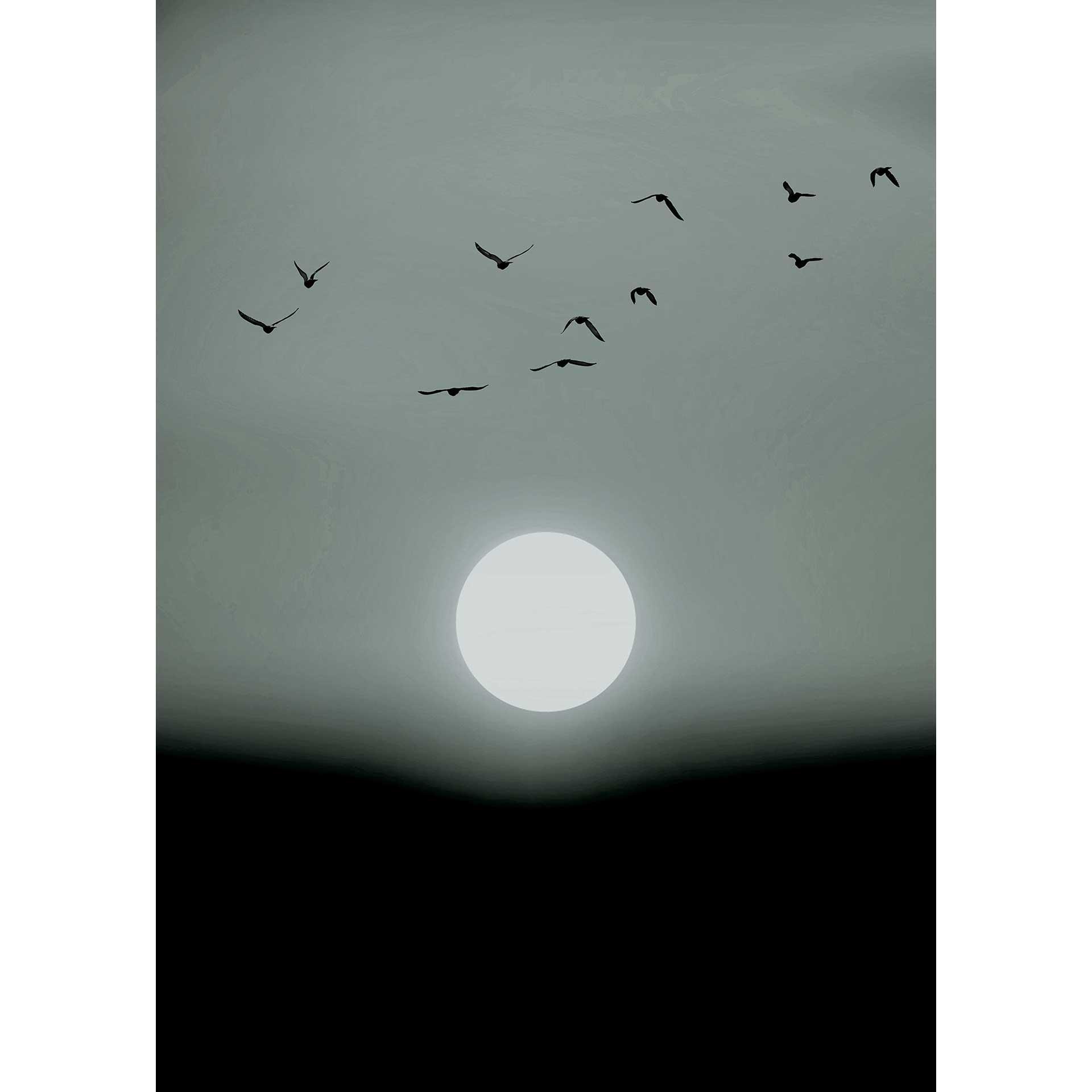 Livingwalls papier peint photo ARTist Winter Lights Winter