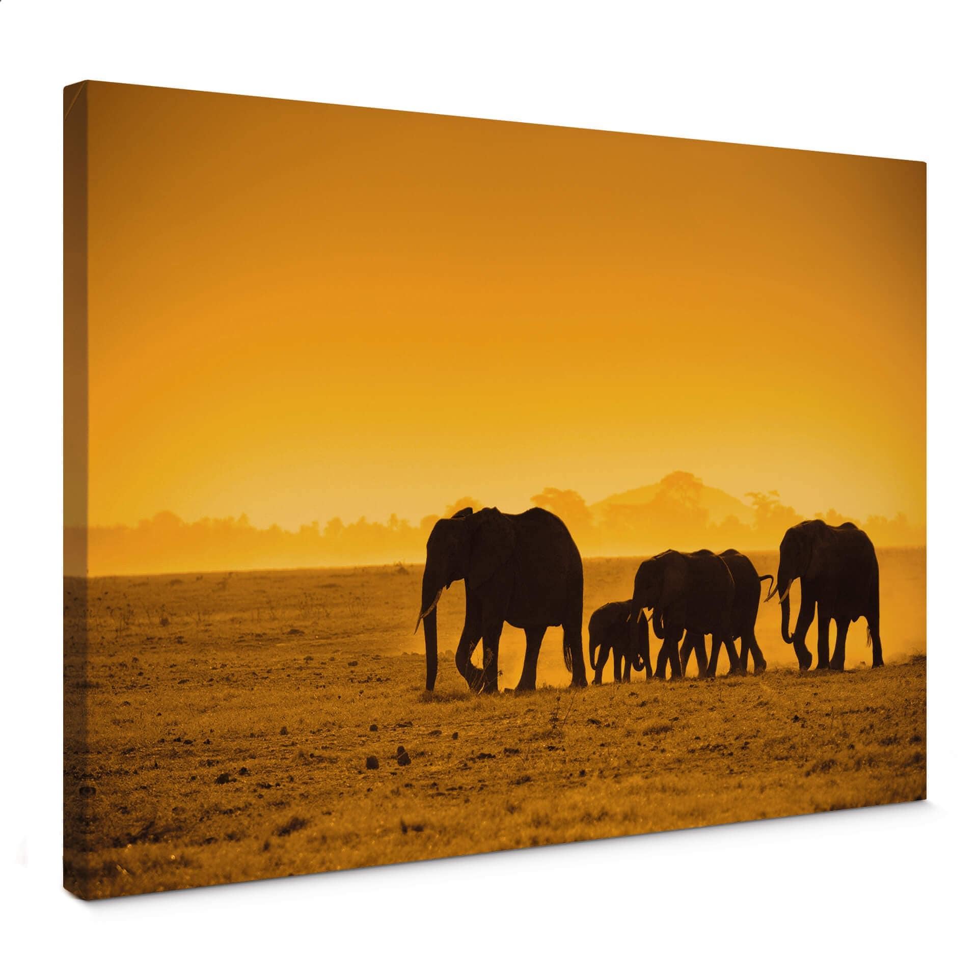 Elefant-Silhouetter - Lærredsprint