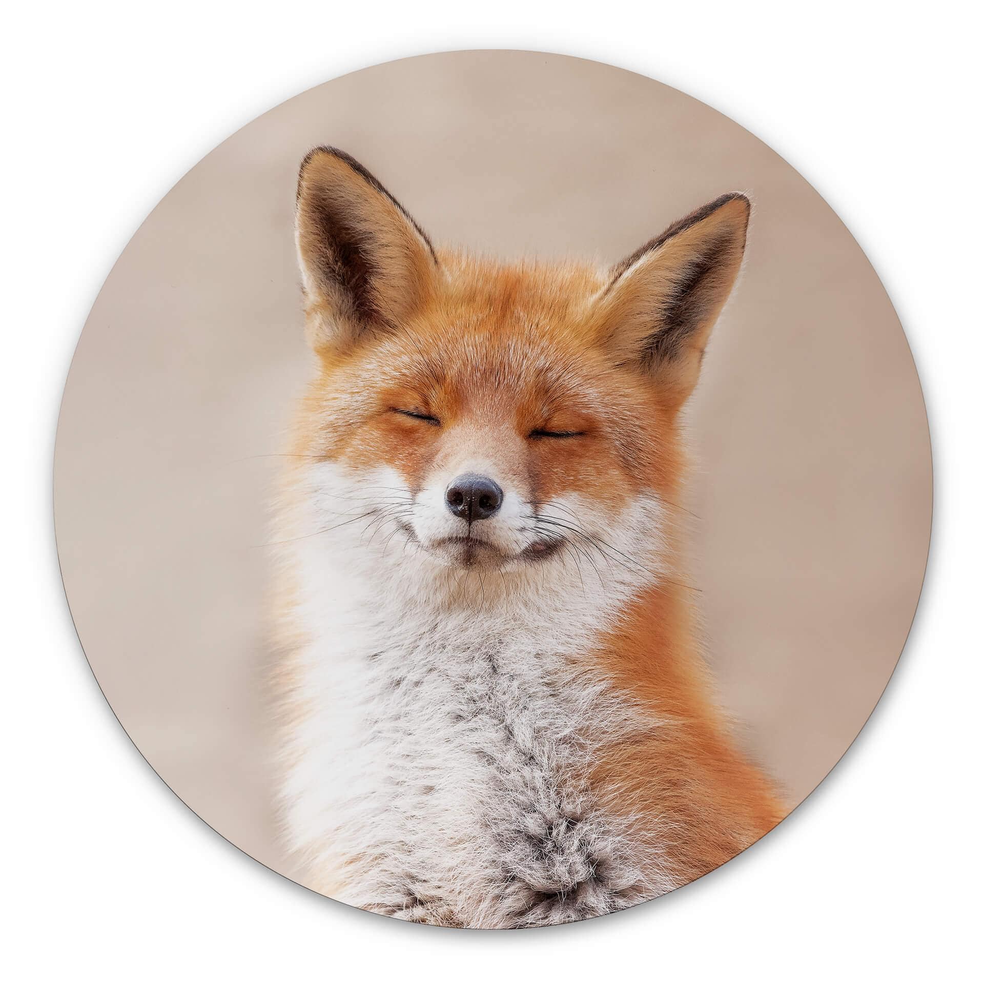 Tableau en alu-Dibond van Duijn - Renard content - Rond