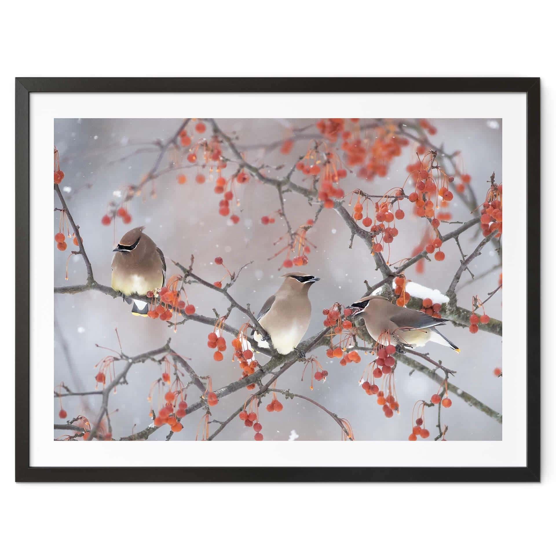 Póster Li - Tres pájaros en un paisaje invernal