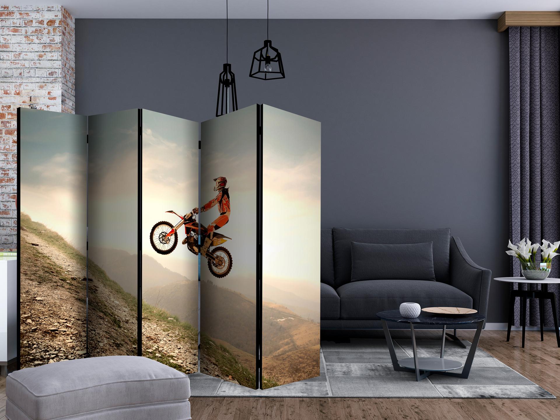 Divisorio per sala - Motorsport , 5 pezzi - 225x172 cm