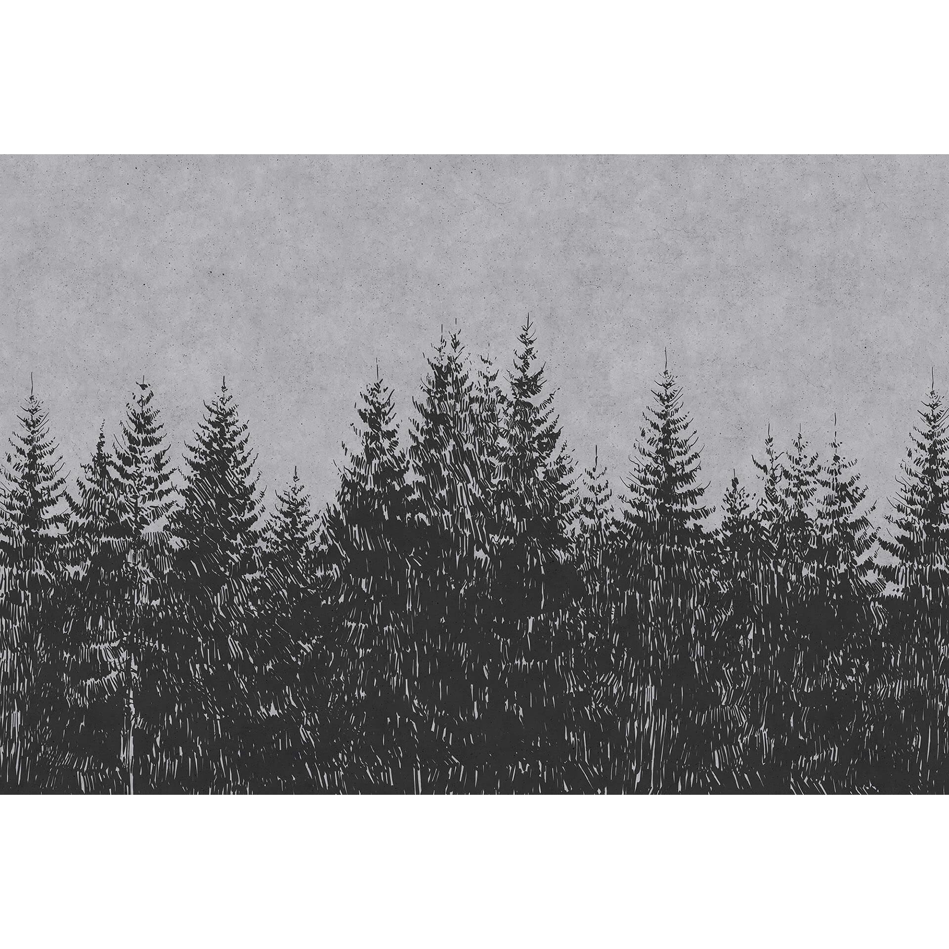 Livingwalls Fotobehang Walls by Patel black forest 3