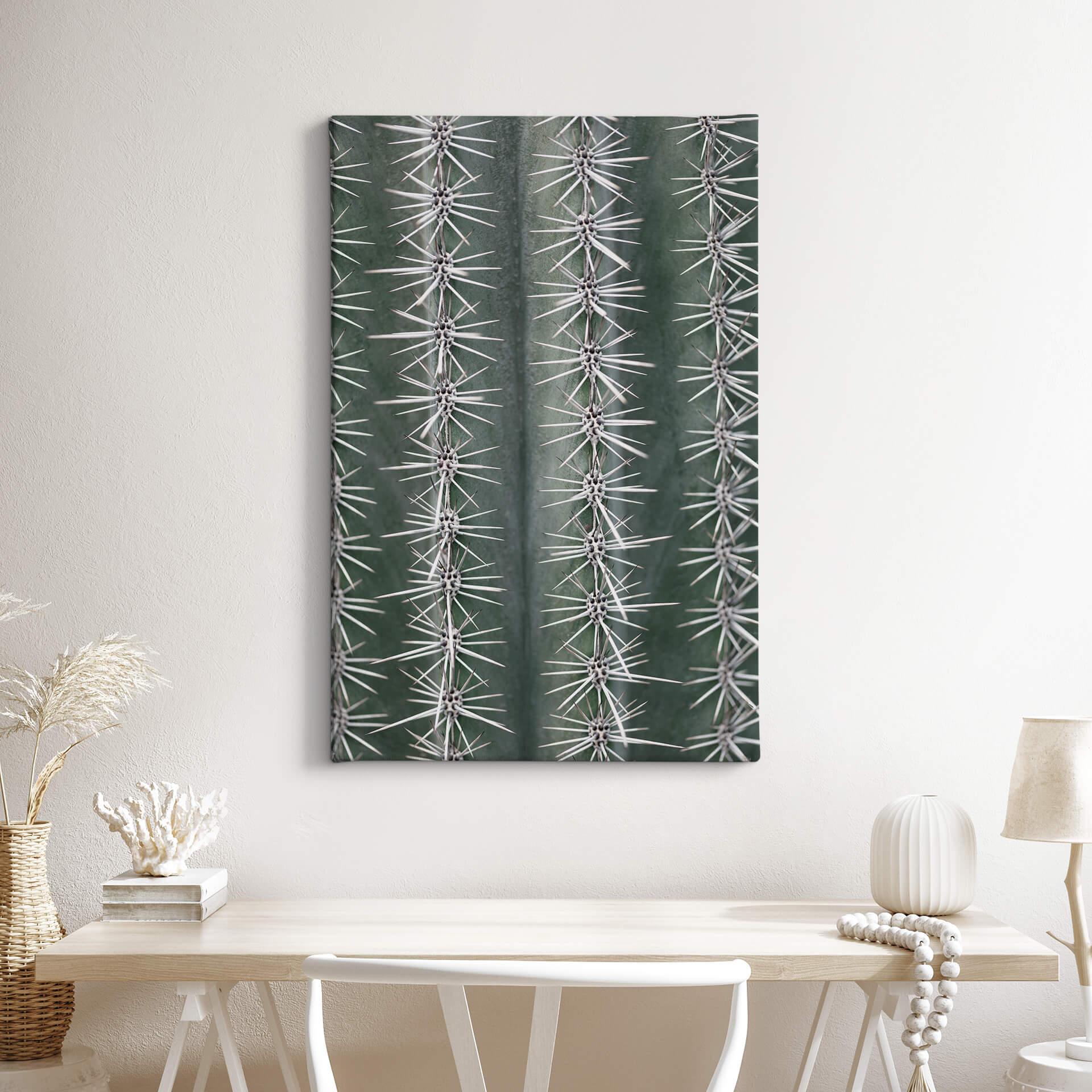 Lienzo 1X Estudio - Cactus