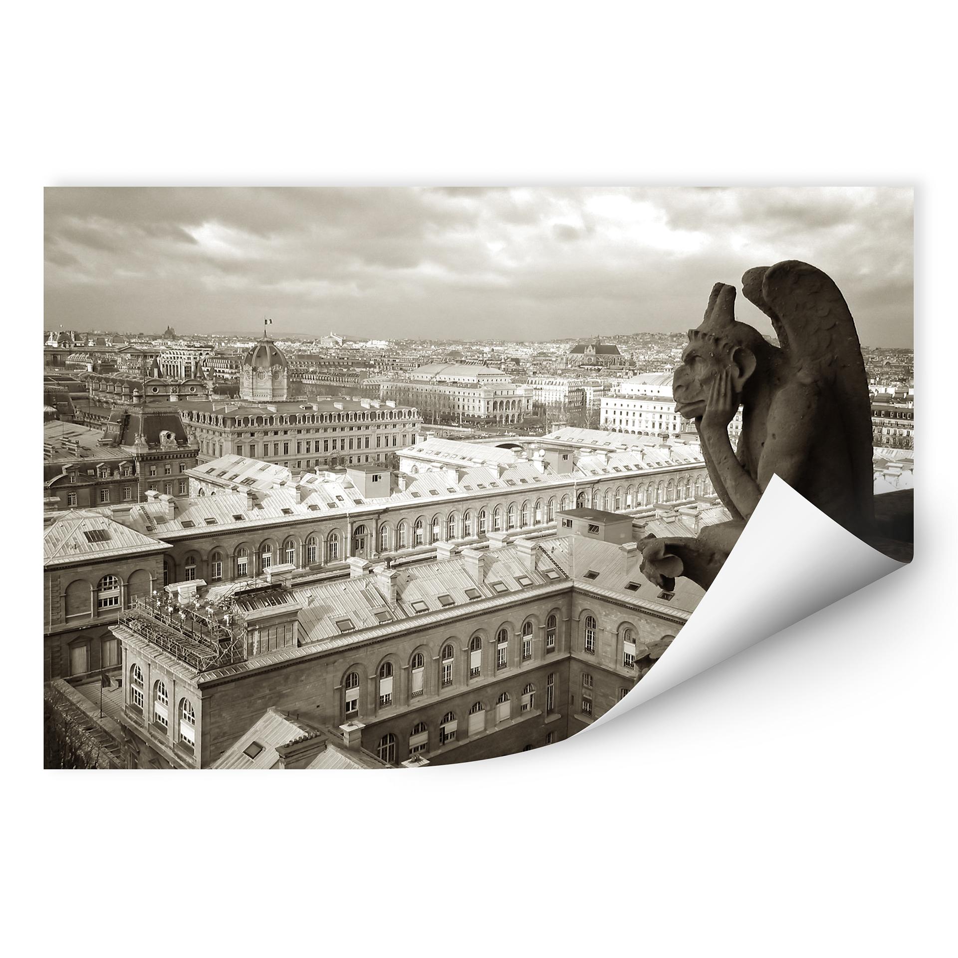 Wallprint W - Wasserspeier