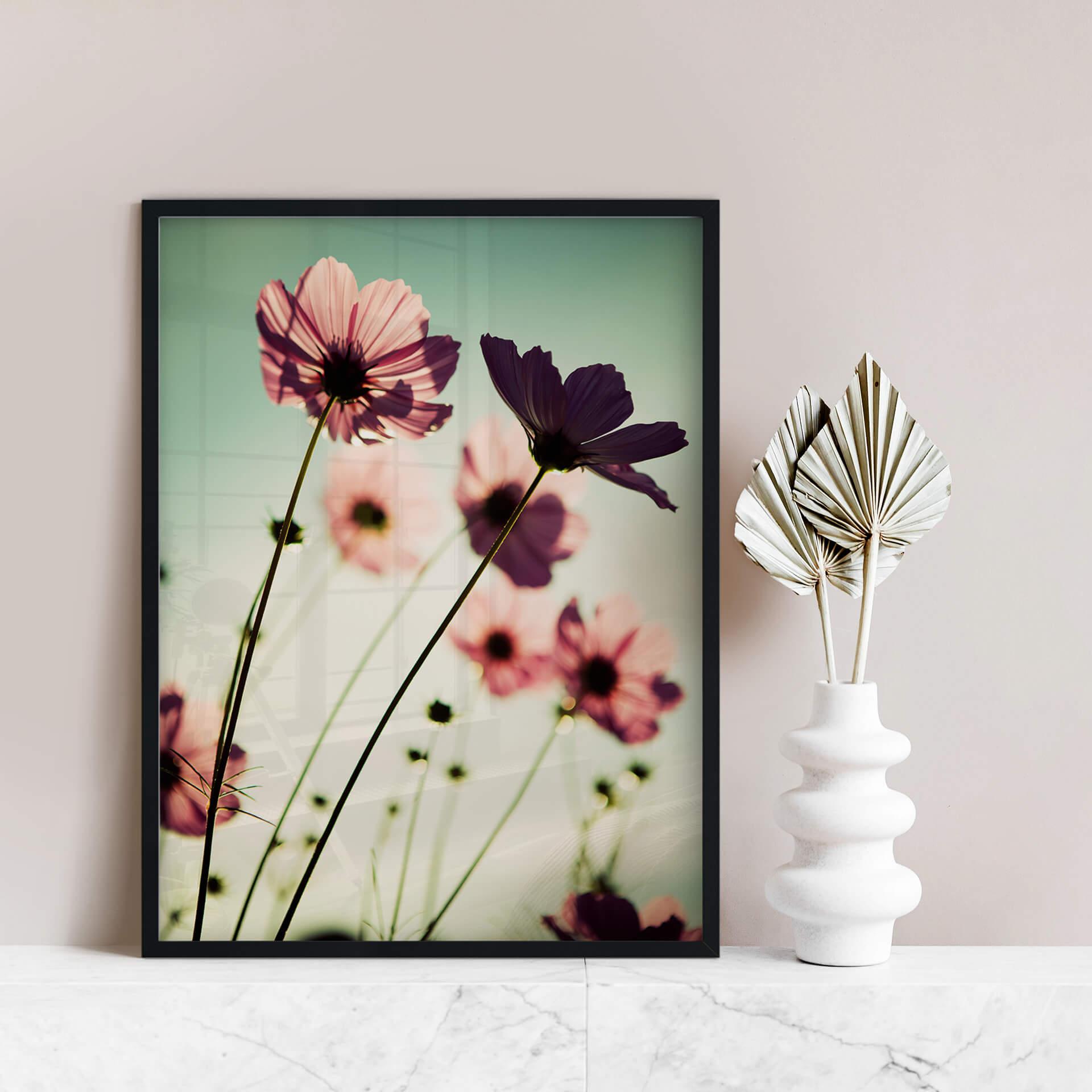 Póster cosmeas rosas