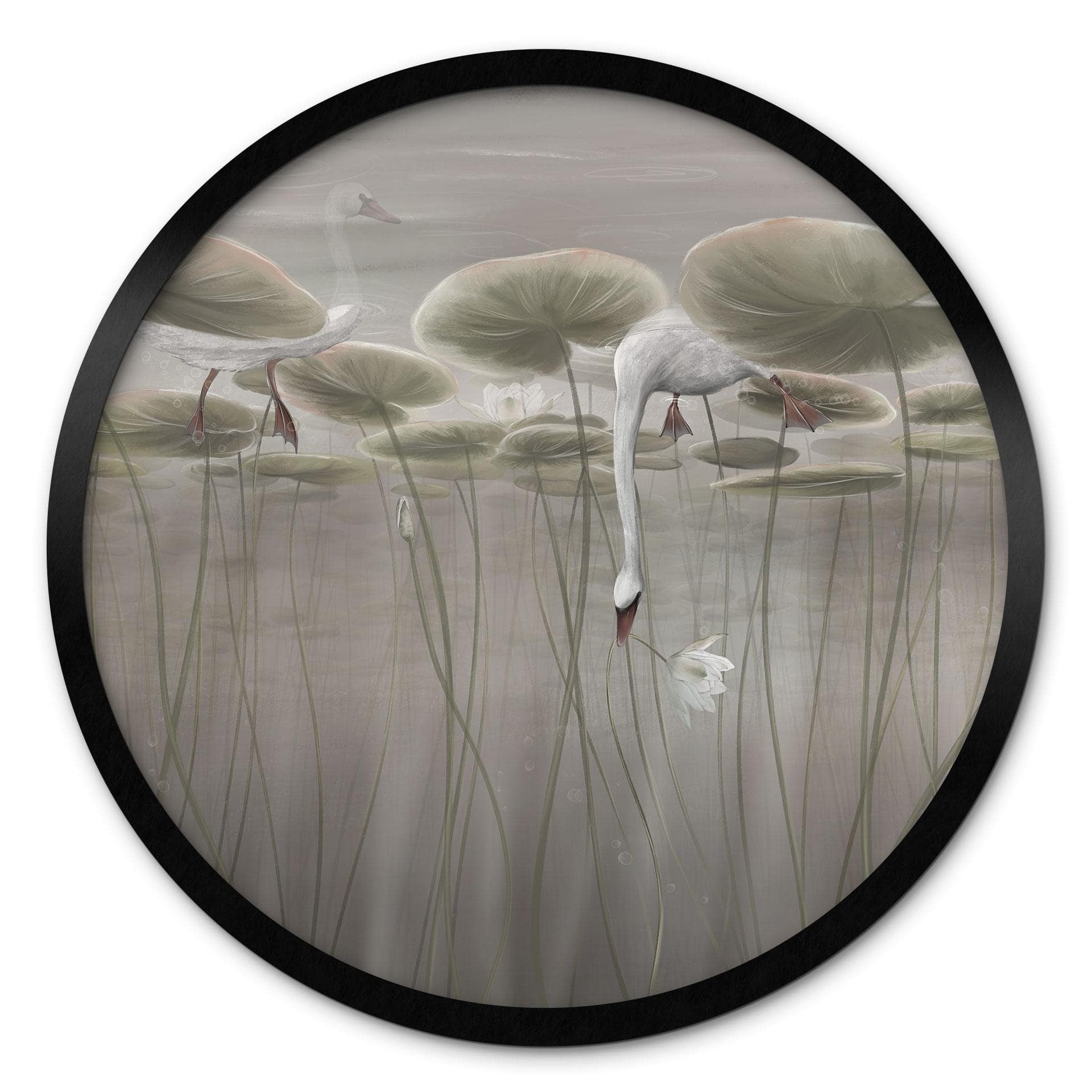 Poster Lotusbloemen met zwaan in water in grijs - Ms Tiff - Rond