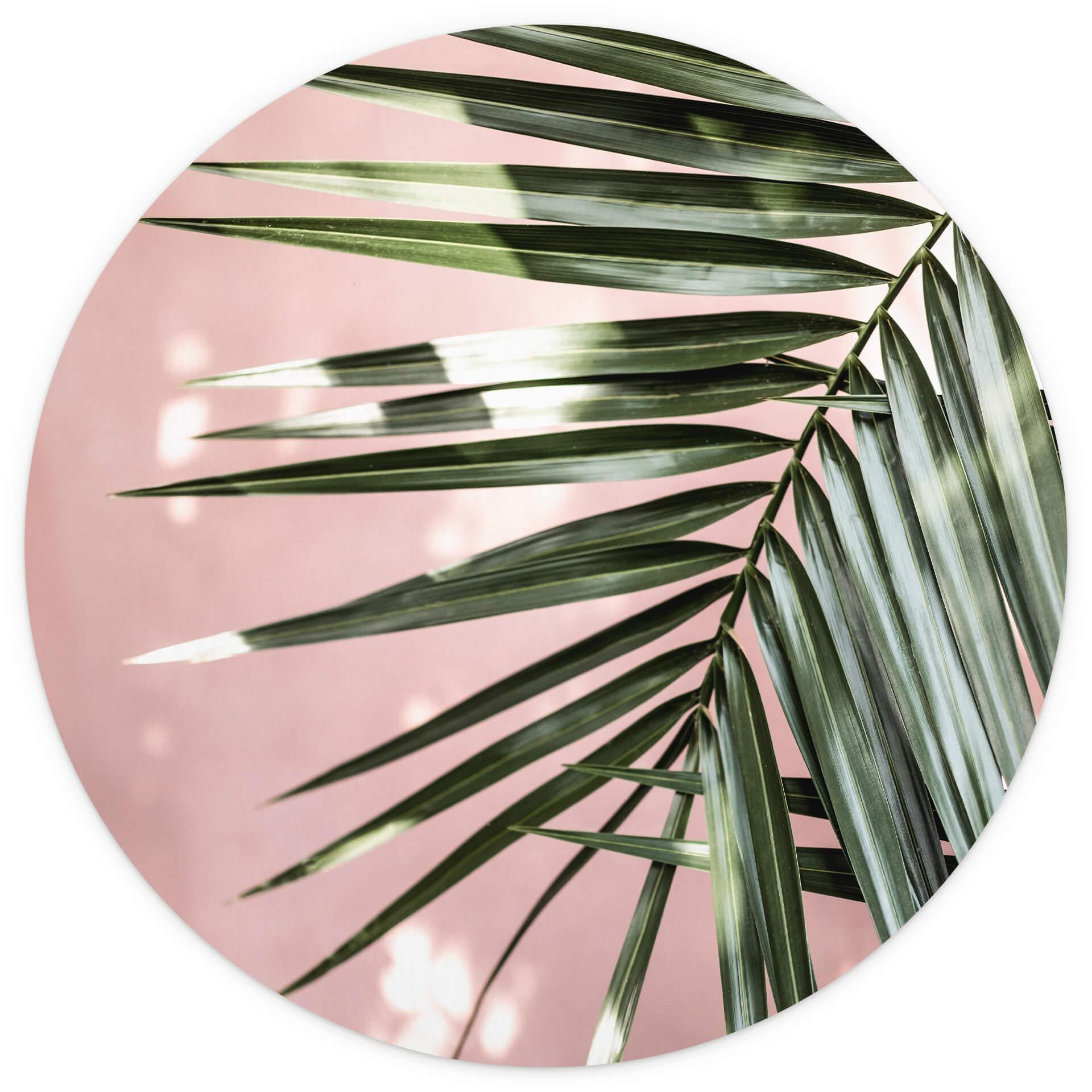 Behangcirkel Palmblad voor roze muur - Böhmer - vliesbehang/zelfklevend vliesbehang