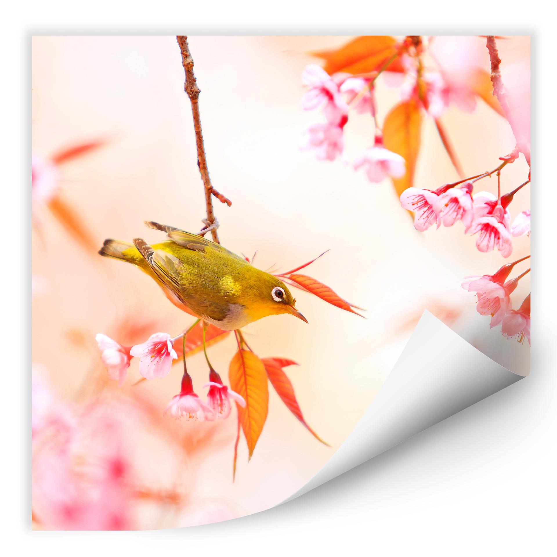 Zelfklevende Poster - Vogeltjes in de lente