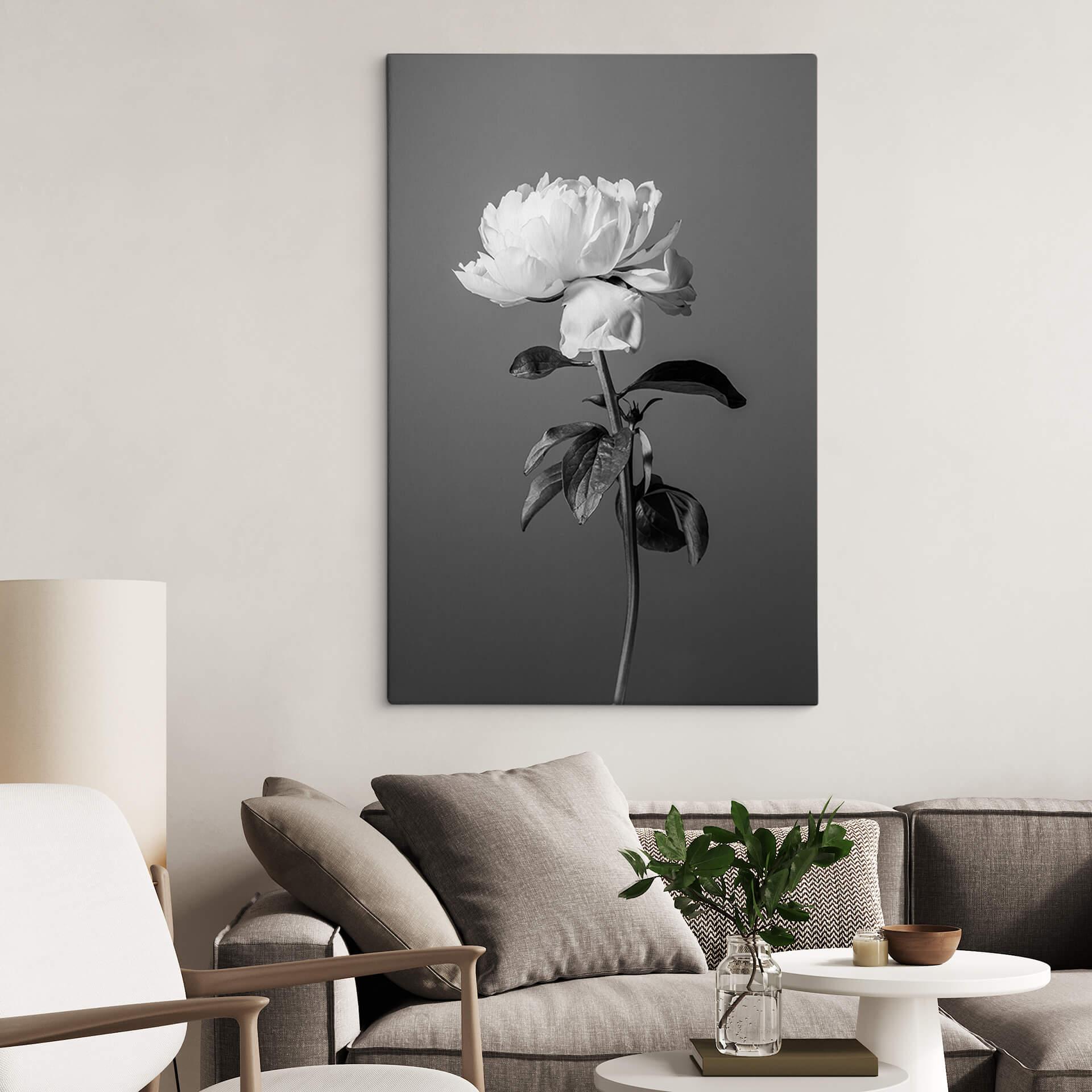 Lienzo 1X Estudio - Peonía blanco y negro
