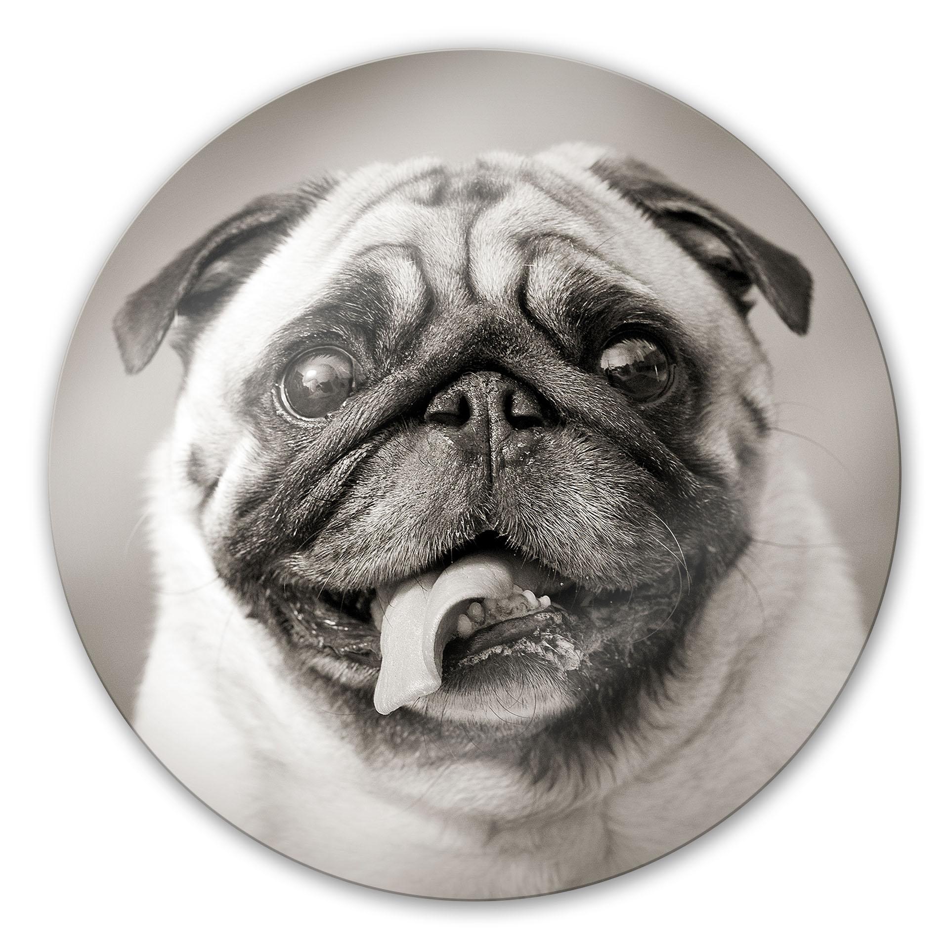 Tableau en verre - Adorable chien - rond