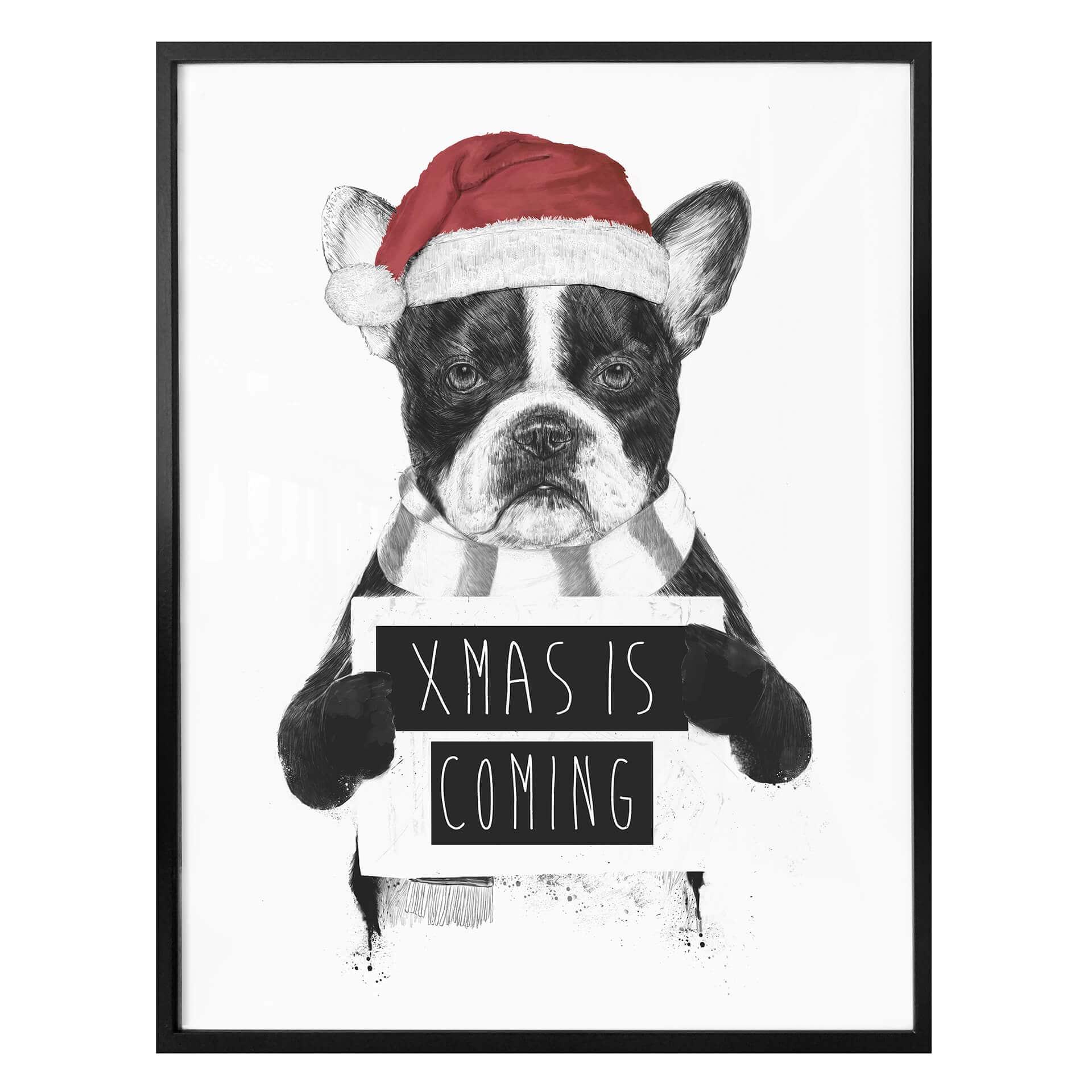 Plakat - Solti - Xmas is coming