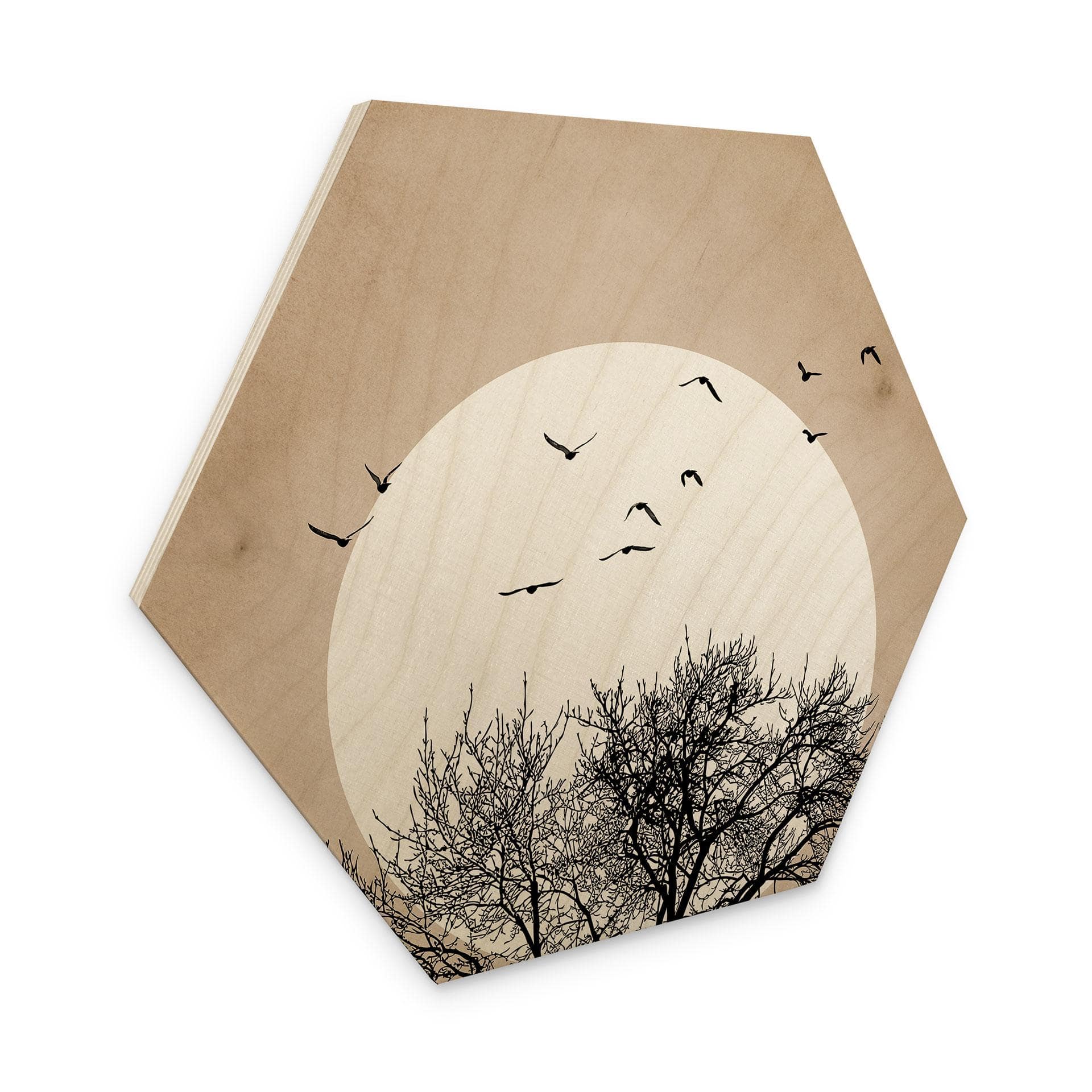 Hexagon Hout Kubistika - Dreaming of Winter