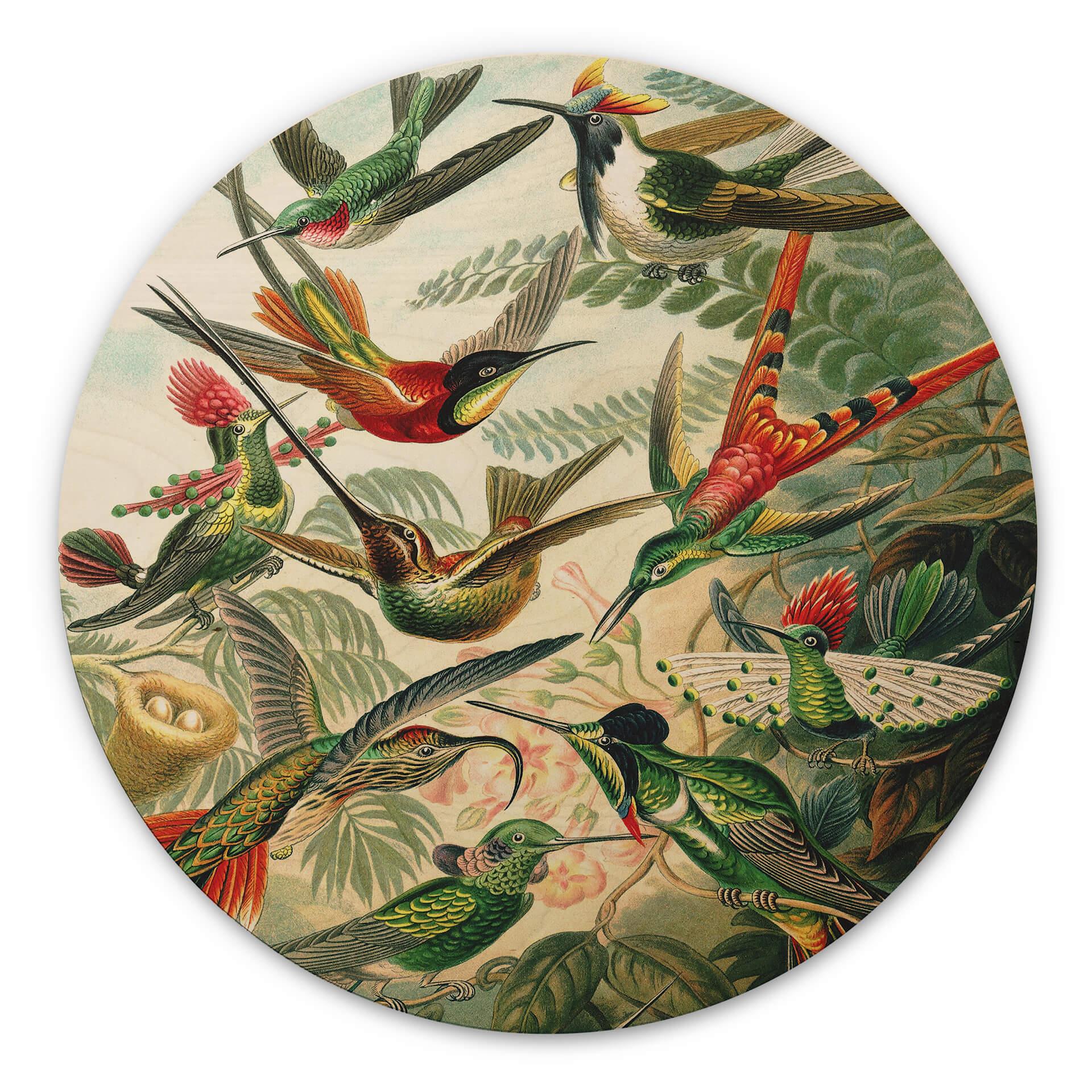 Billede af træ Haeckel - Kolibrier - Rund