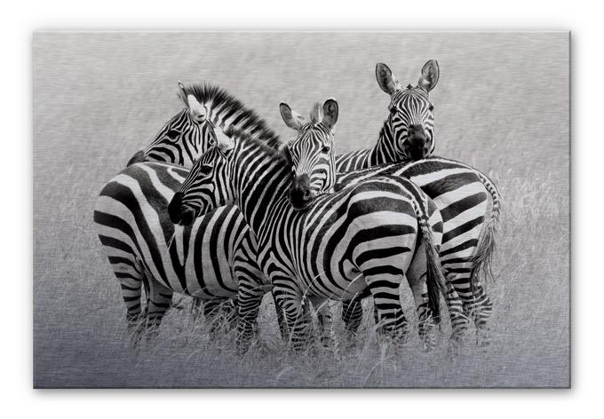 Aluminium Dibond Trubitsyn - Zebra's in de Savanne