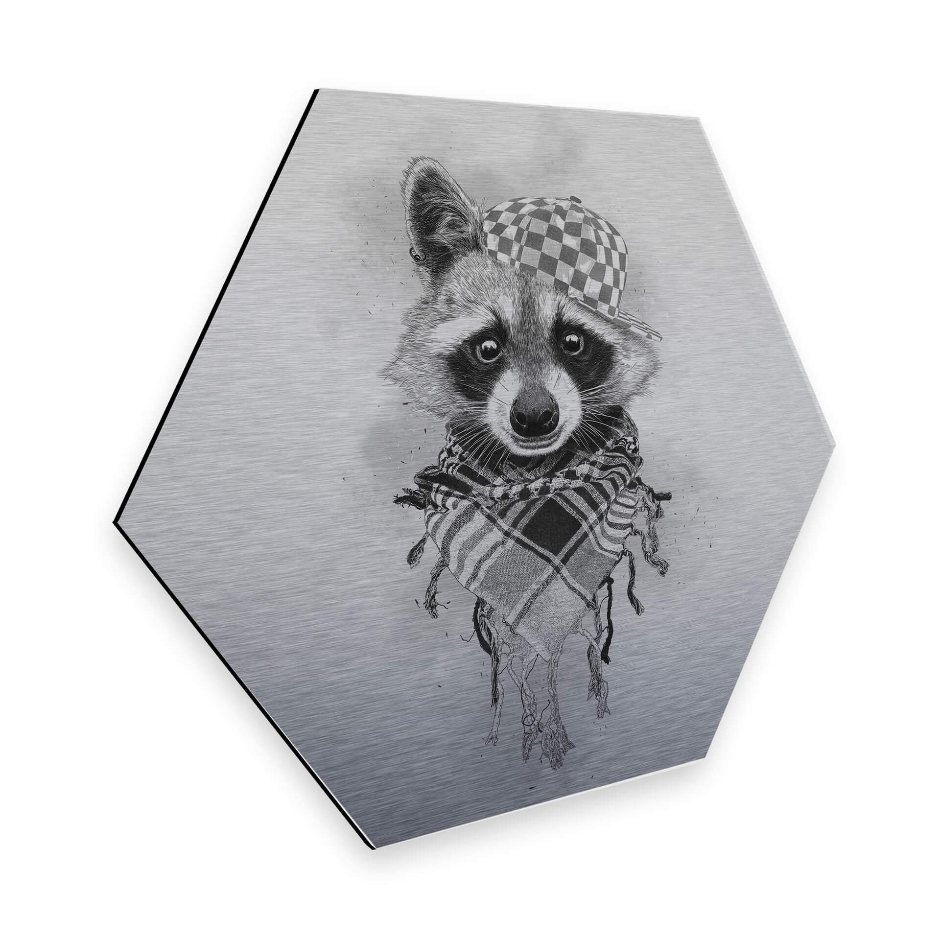 Hexagon - Alu-Dibond Kools - zilver effect Rocco Racoon