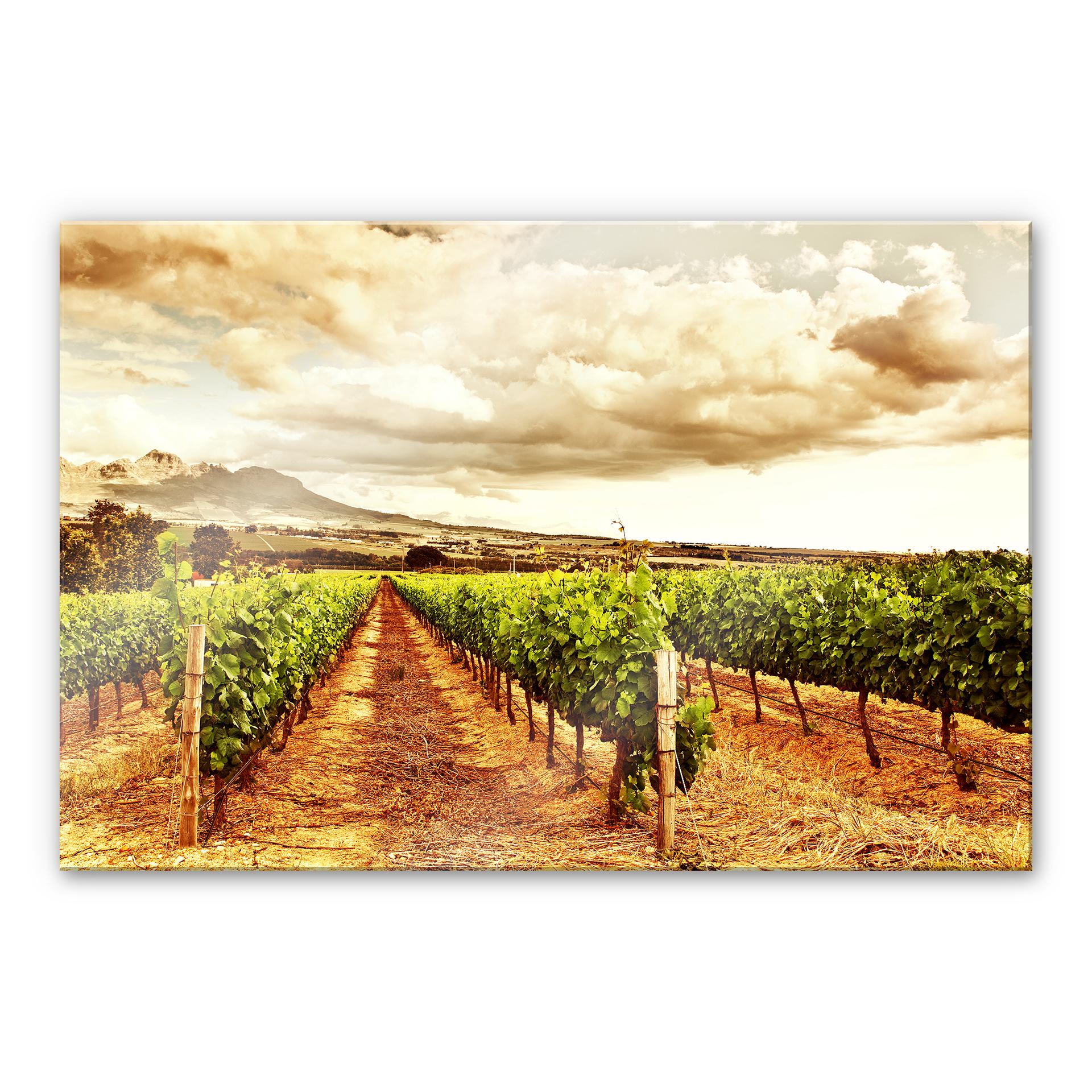 Tableau en verre acrylique - Vigne dans les montagnes