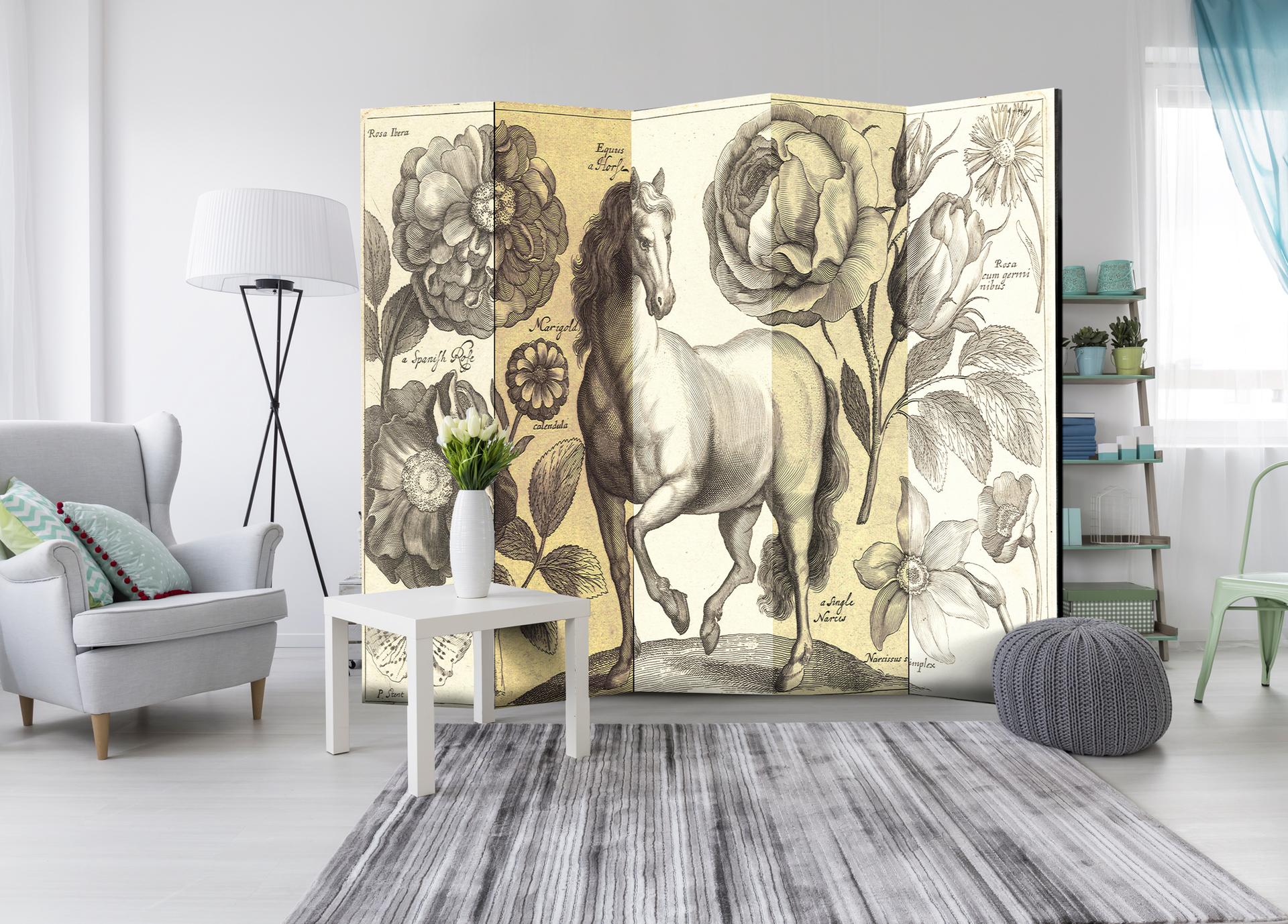Divisorio per sala - Cavallo, 5 pezzi - 225x172 cm