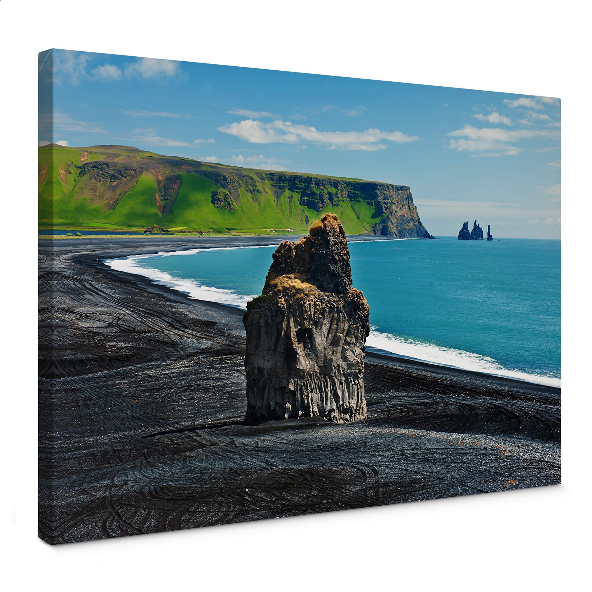 Cape Dyrholahey - Lærredsprint