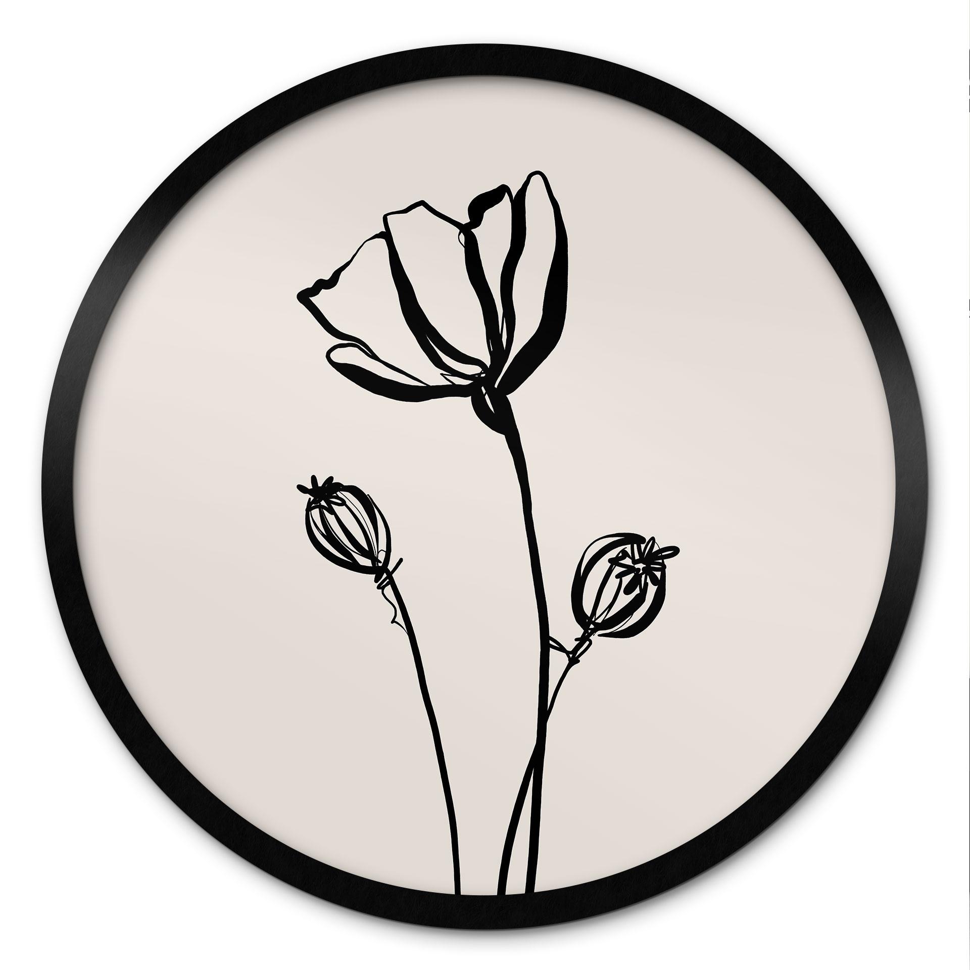 Plakat Line Art Poppy - Cats & Dotz - Rund