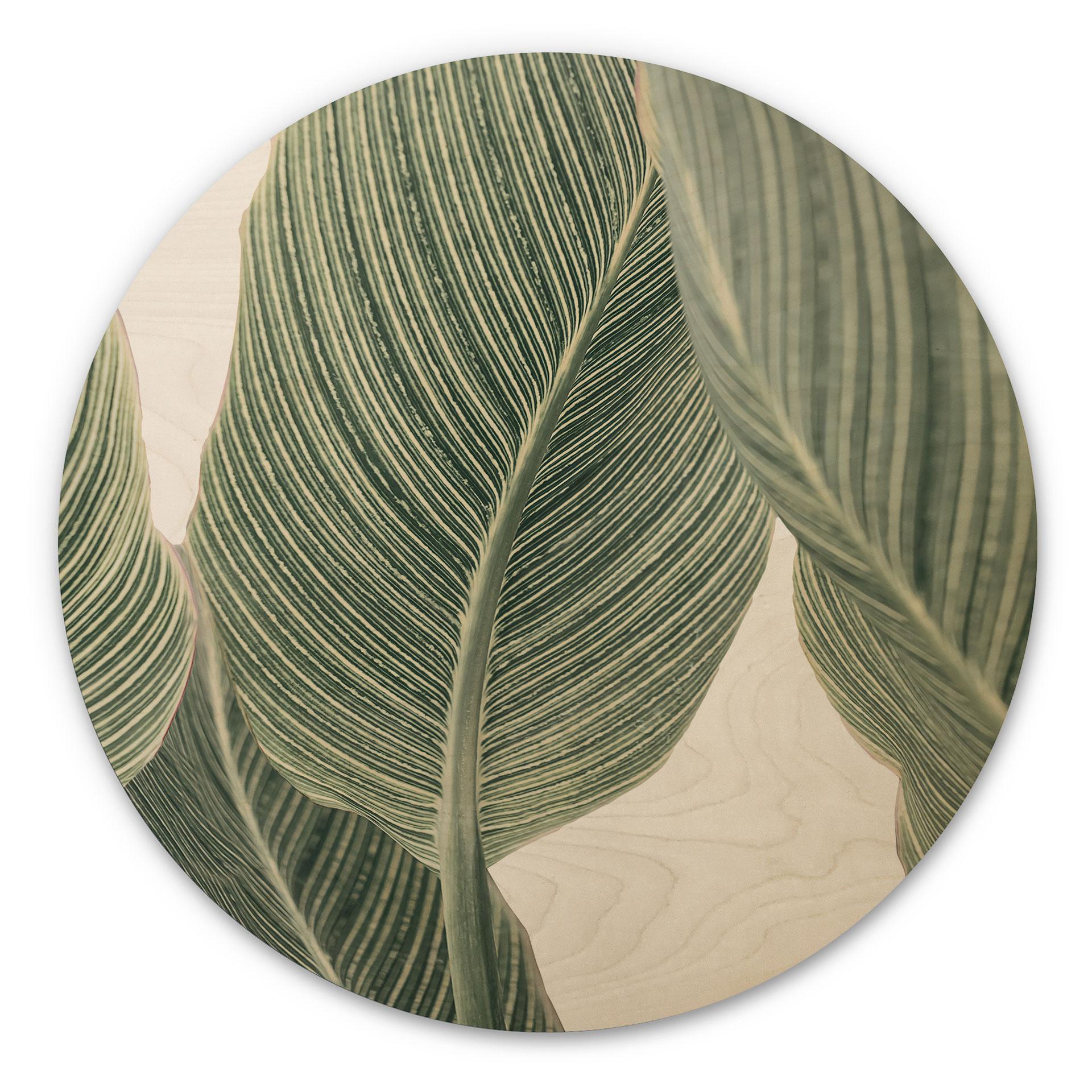 Væg cirkel træ Calathea-plante - Sisi & Seb