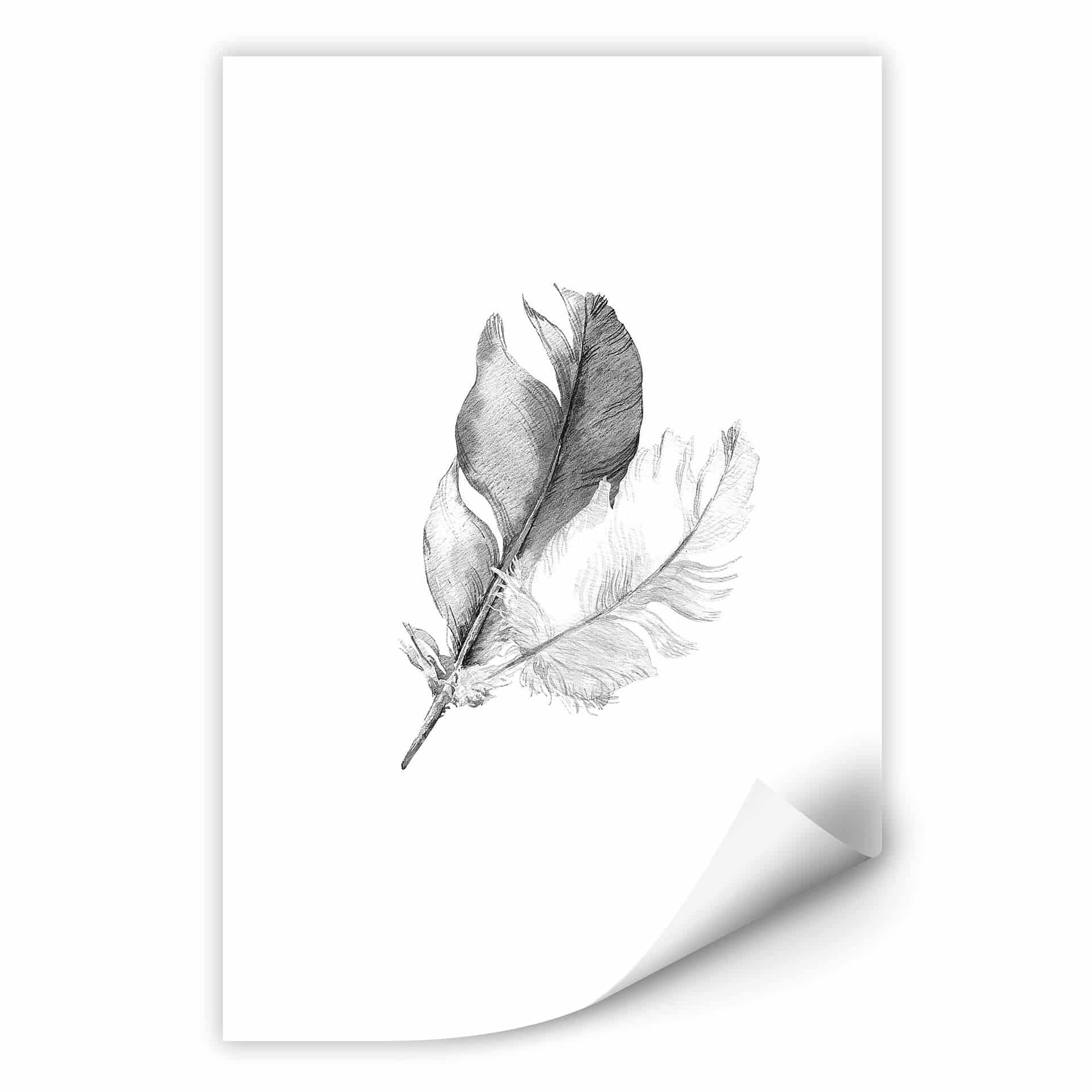 Zelfklevende Poster Veren