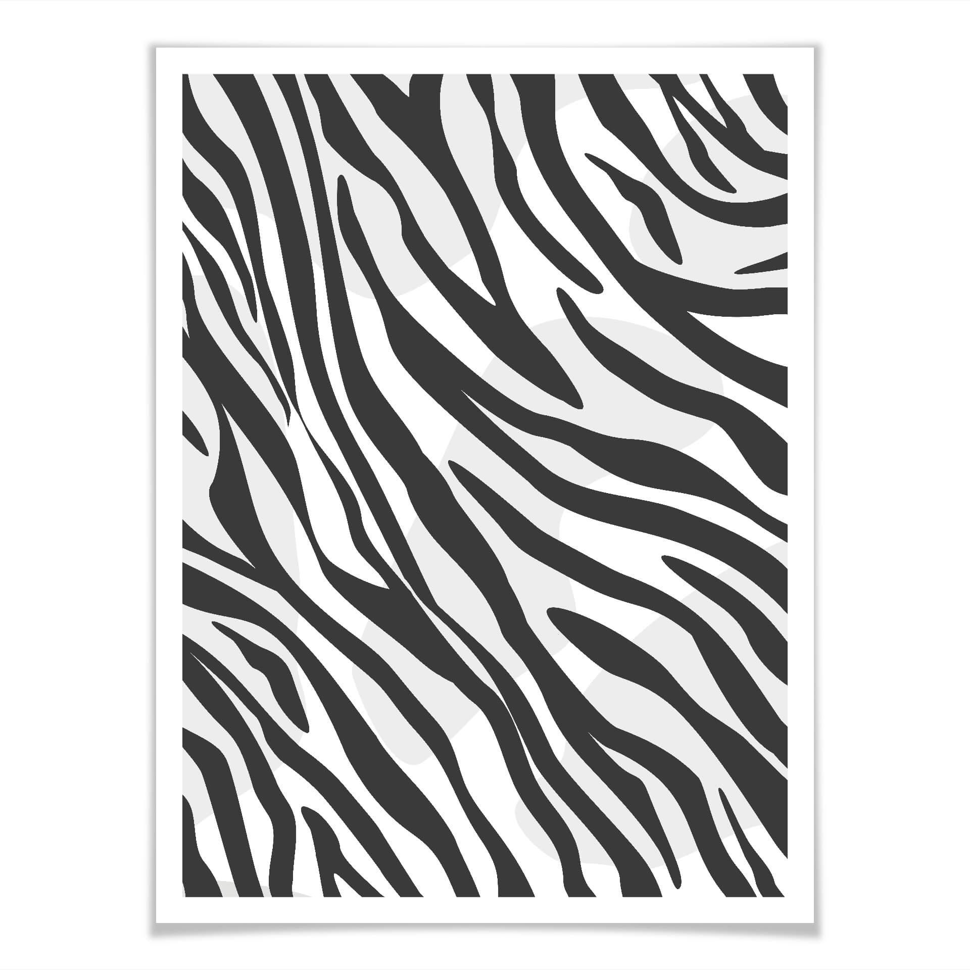 Plakat Zebra - Próbki