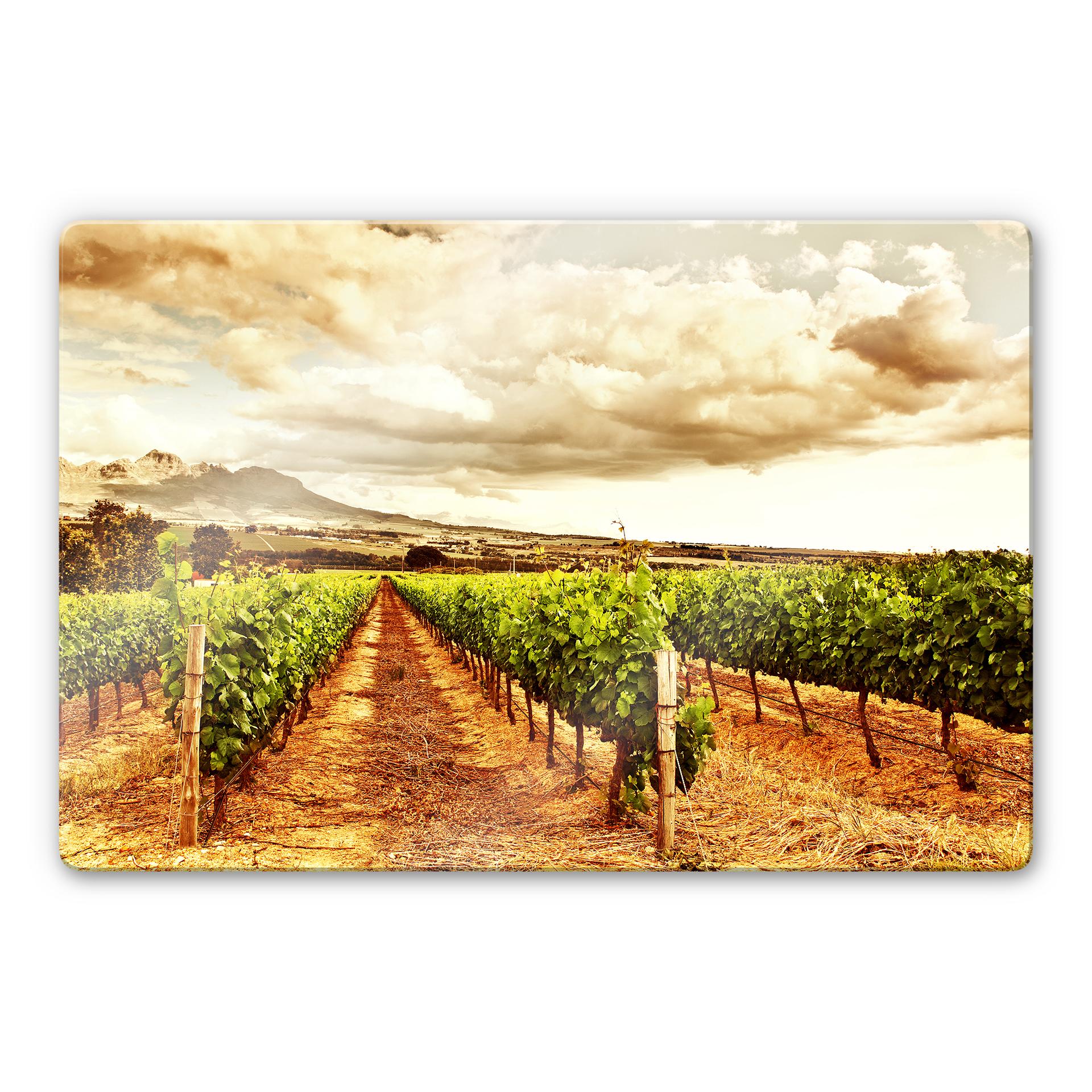 Tableau en verre - Vigne dans les montagnes