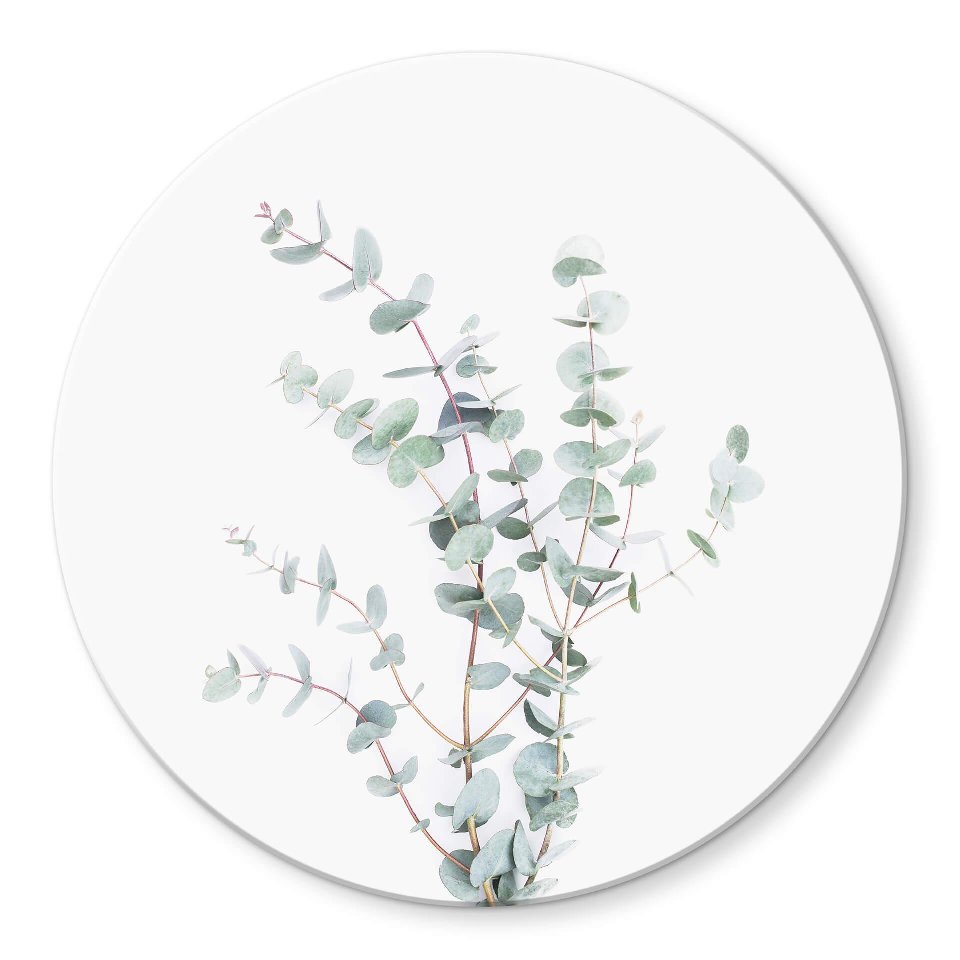 Tableau en verre Sisi & Seb - Branche d'Eucalyptus - Rond
