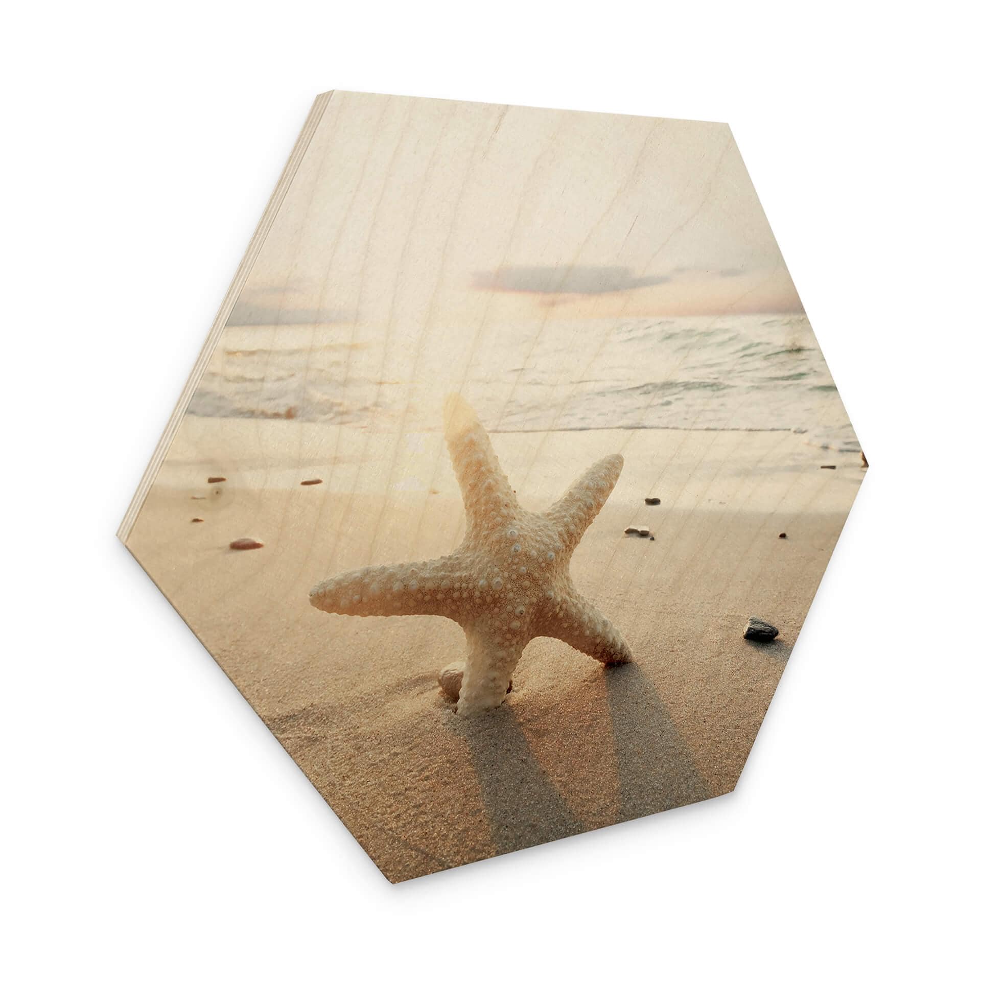 Hexagone - Bois Une étoile de mer étincelante sur une plage déserte