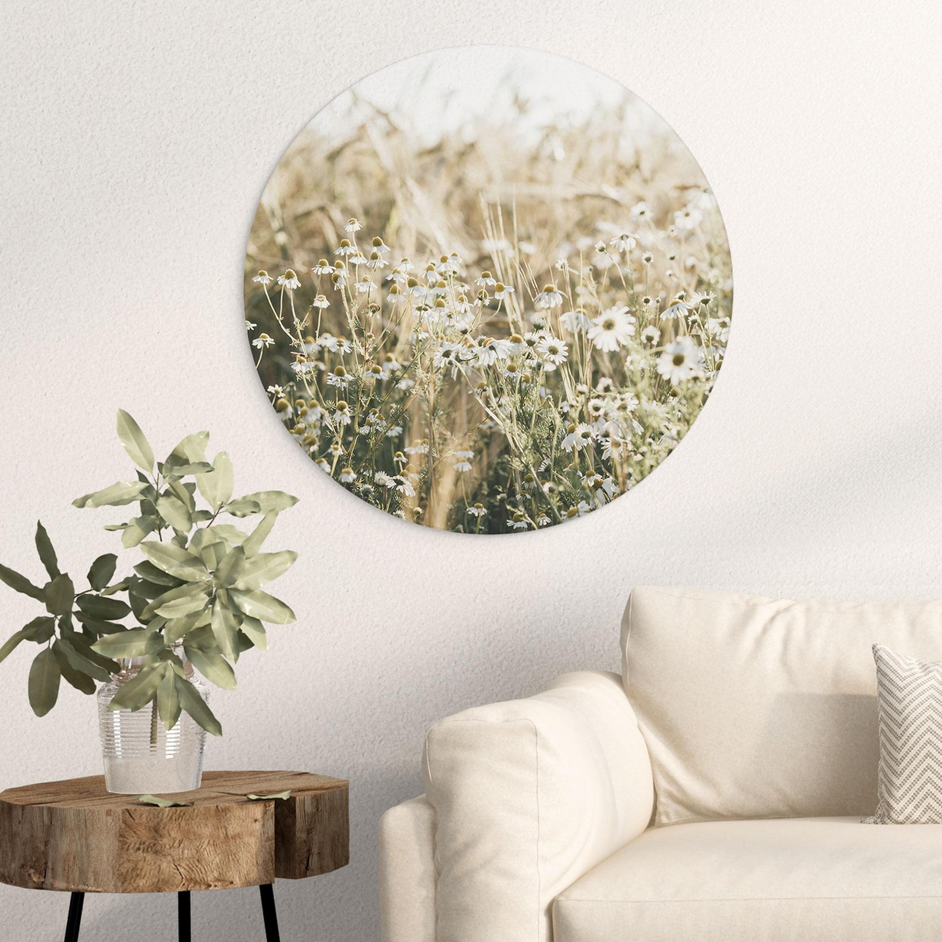 Fototapet Sommereng med kamille - Annie - rund – print på aluminium (Alu-Dibond)