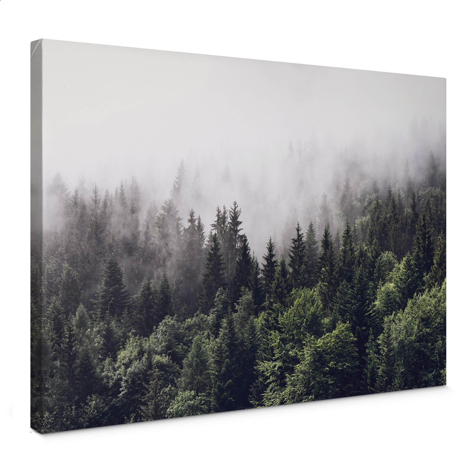 Canvasbillede - Tåget skov
