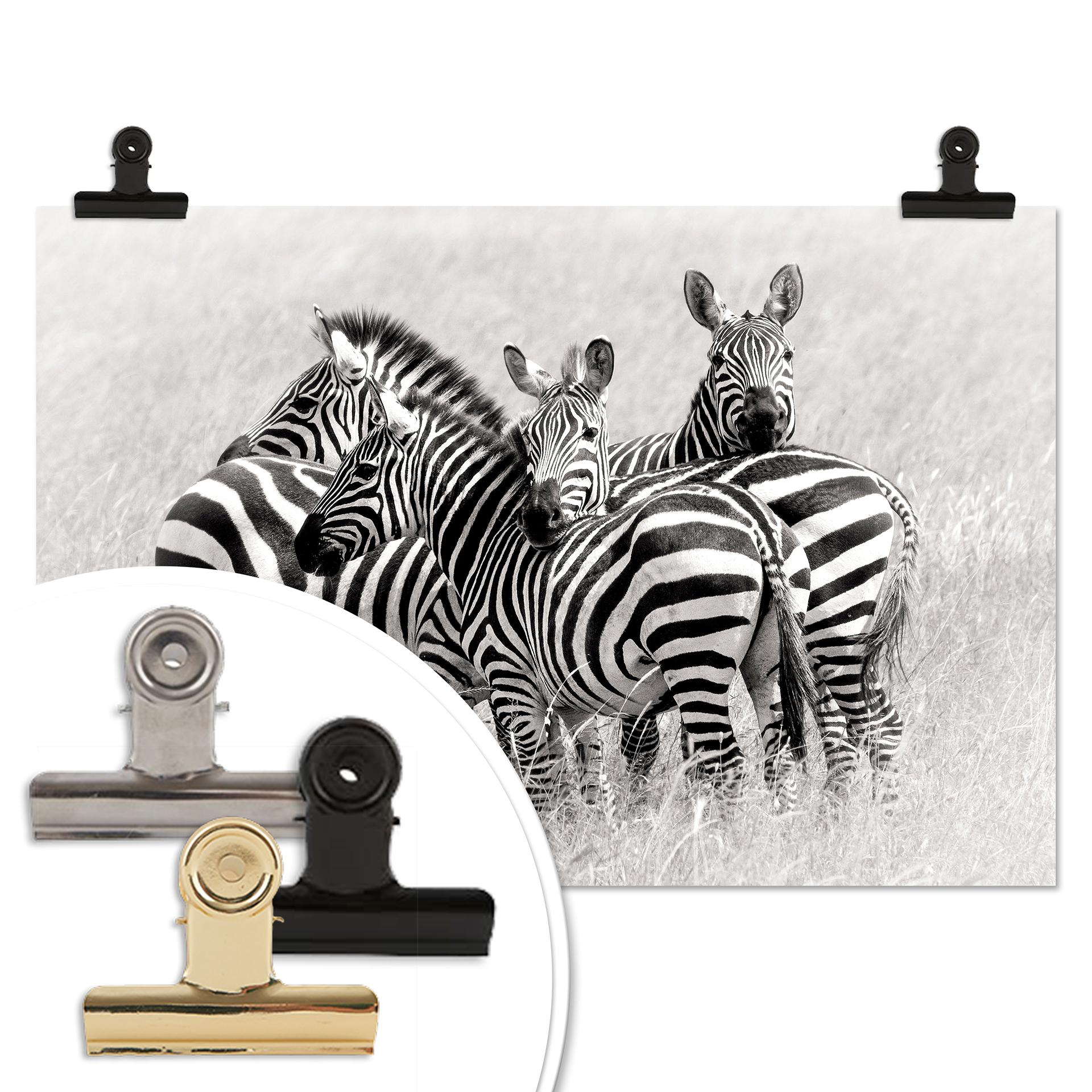 Poster Trubitsyn - Zebras in der Savanne
