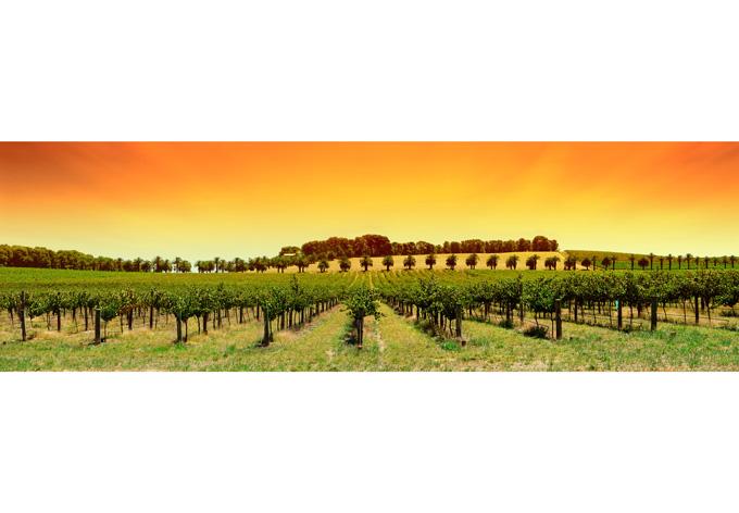 Raamsticker: Toscane