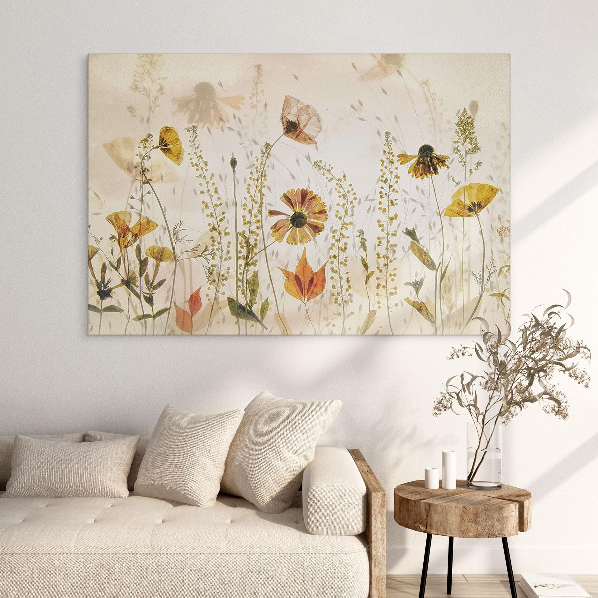 Fototapet Vilde engblomster i sollyset - Talen – print på aluminium (Alu-Dibond)