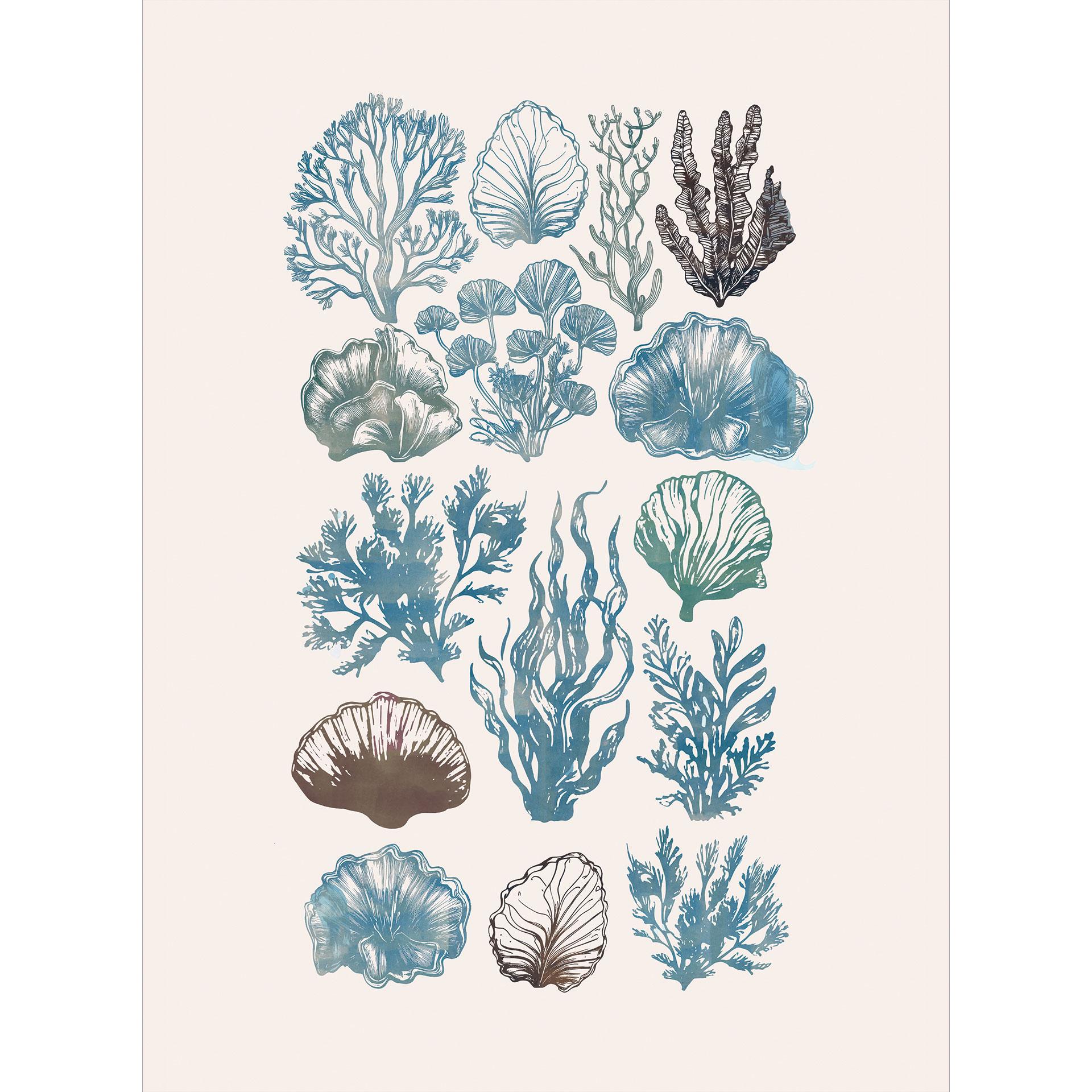 Filigraan algen en schelpen | Botanische illustratie Fotobehang - casa cartissi