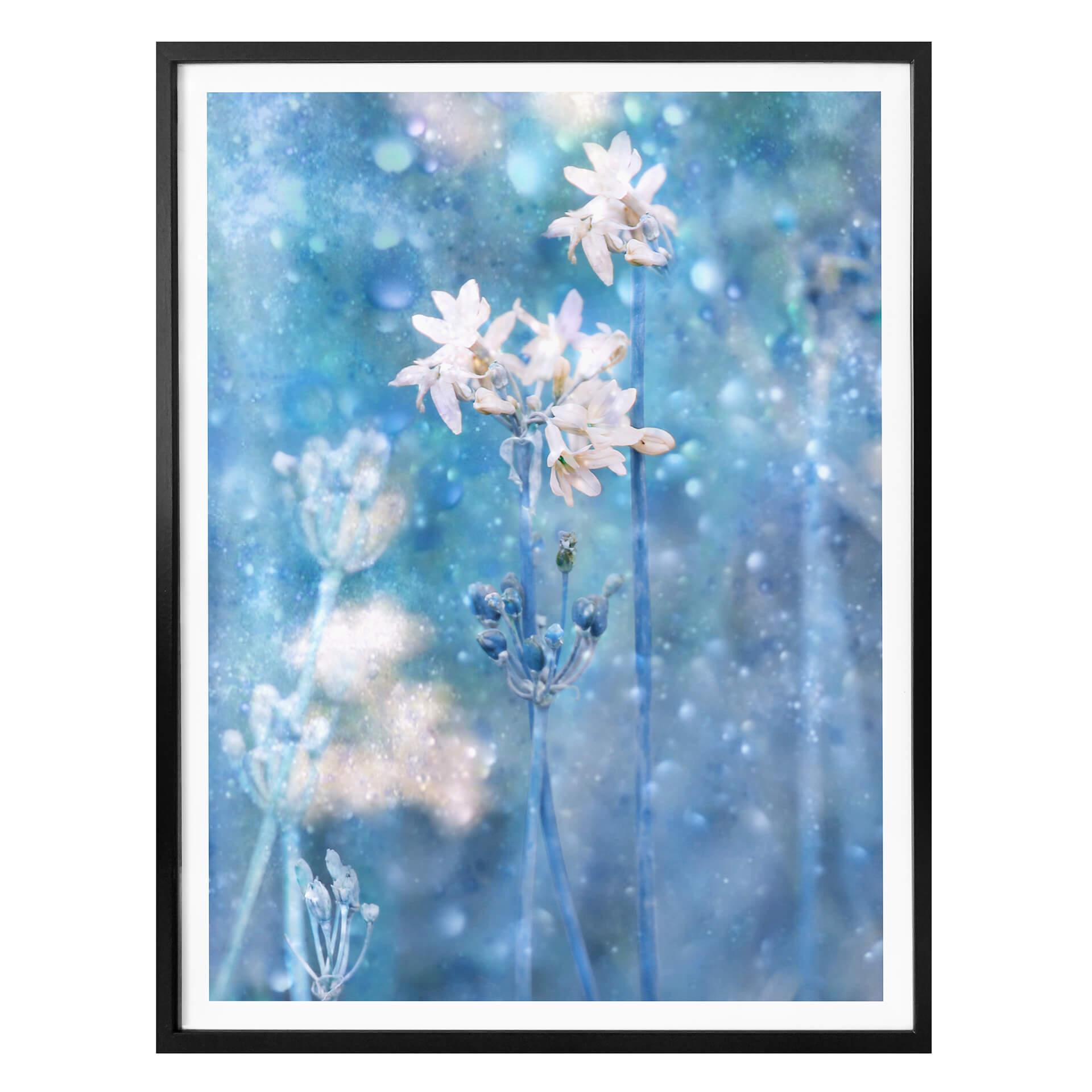 Plakat - Devos - Naturens magi