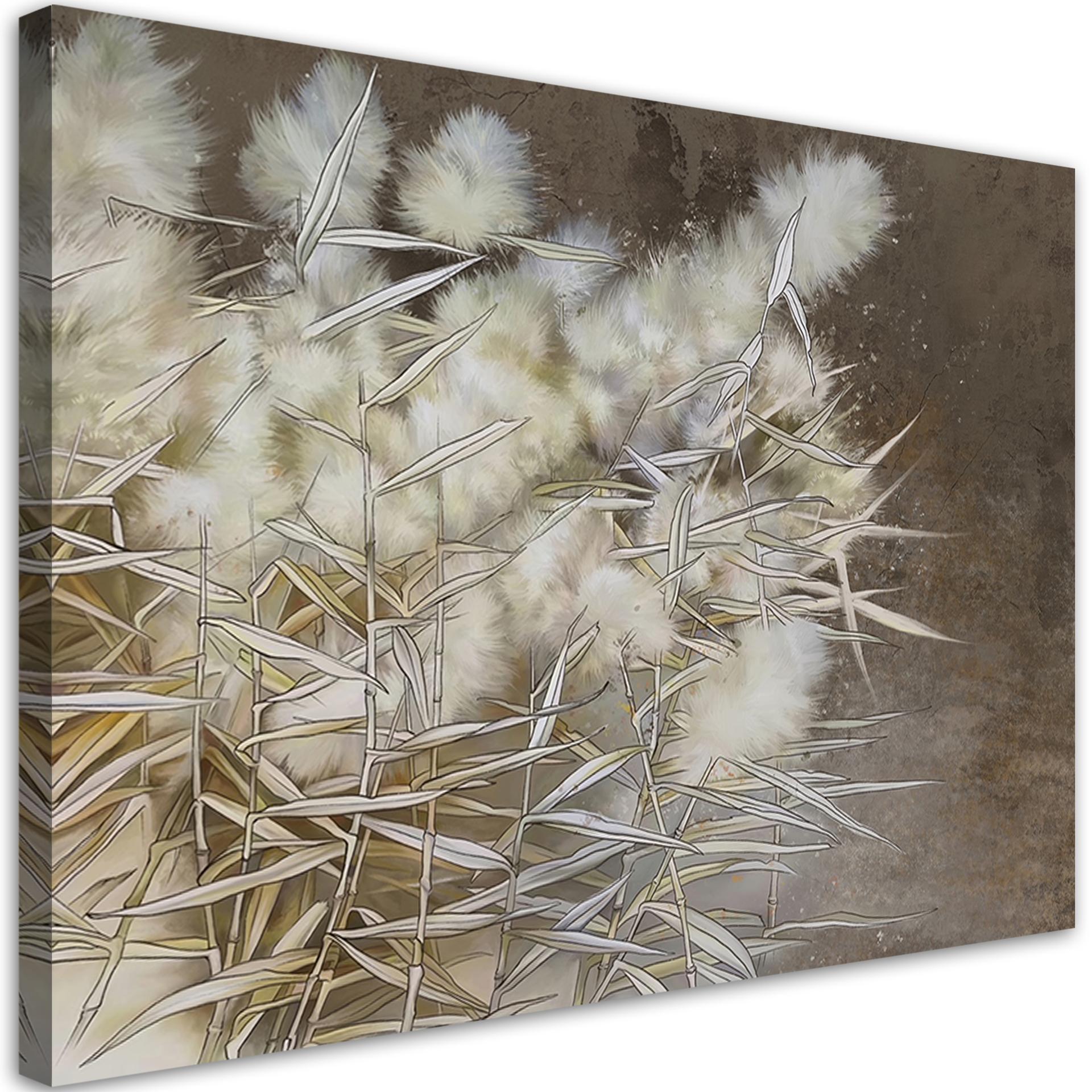 Canvasbillede, Boho pampasgræs