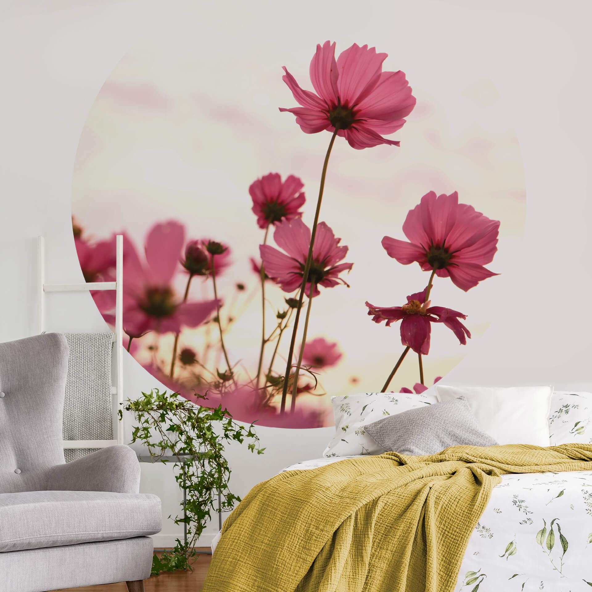 Fototapet - Rundt Pink cosms - vliesetapet/selvklæbende non-woven tapet