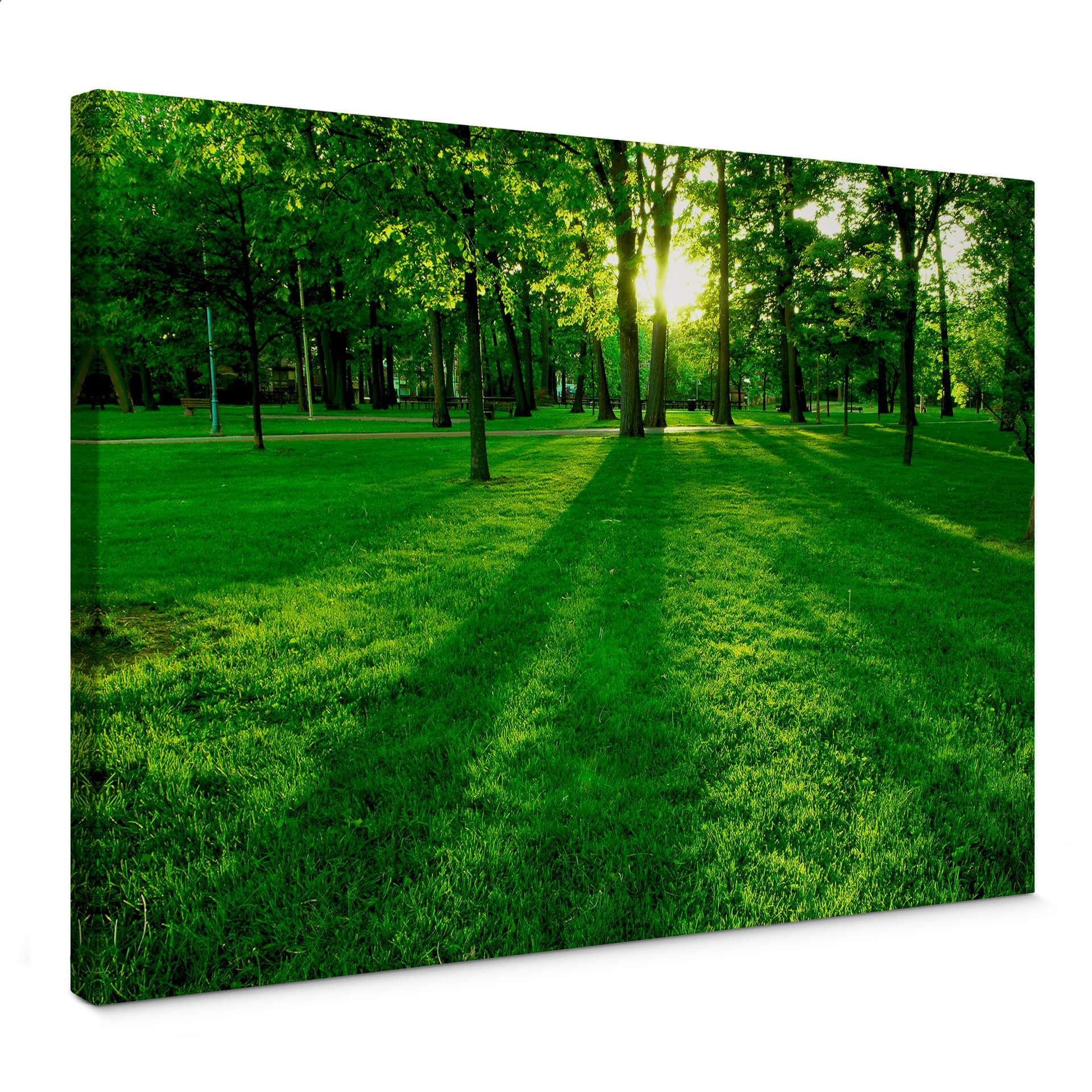 Lienzo Parque en el campo