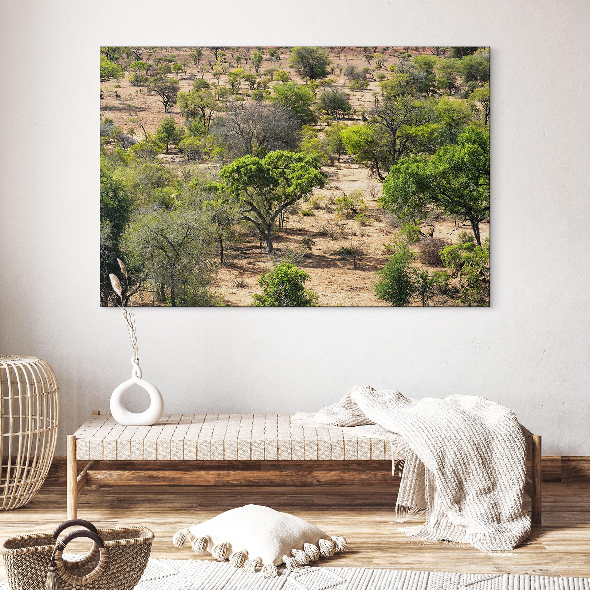 Wandbild Savannenlandschaft in Afrika - Hugonnard - Alu-Dibond