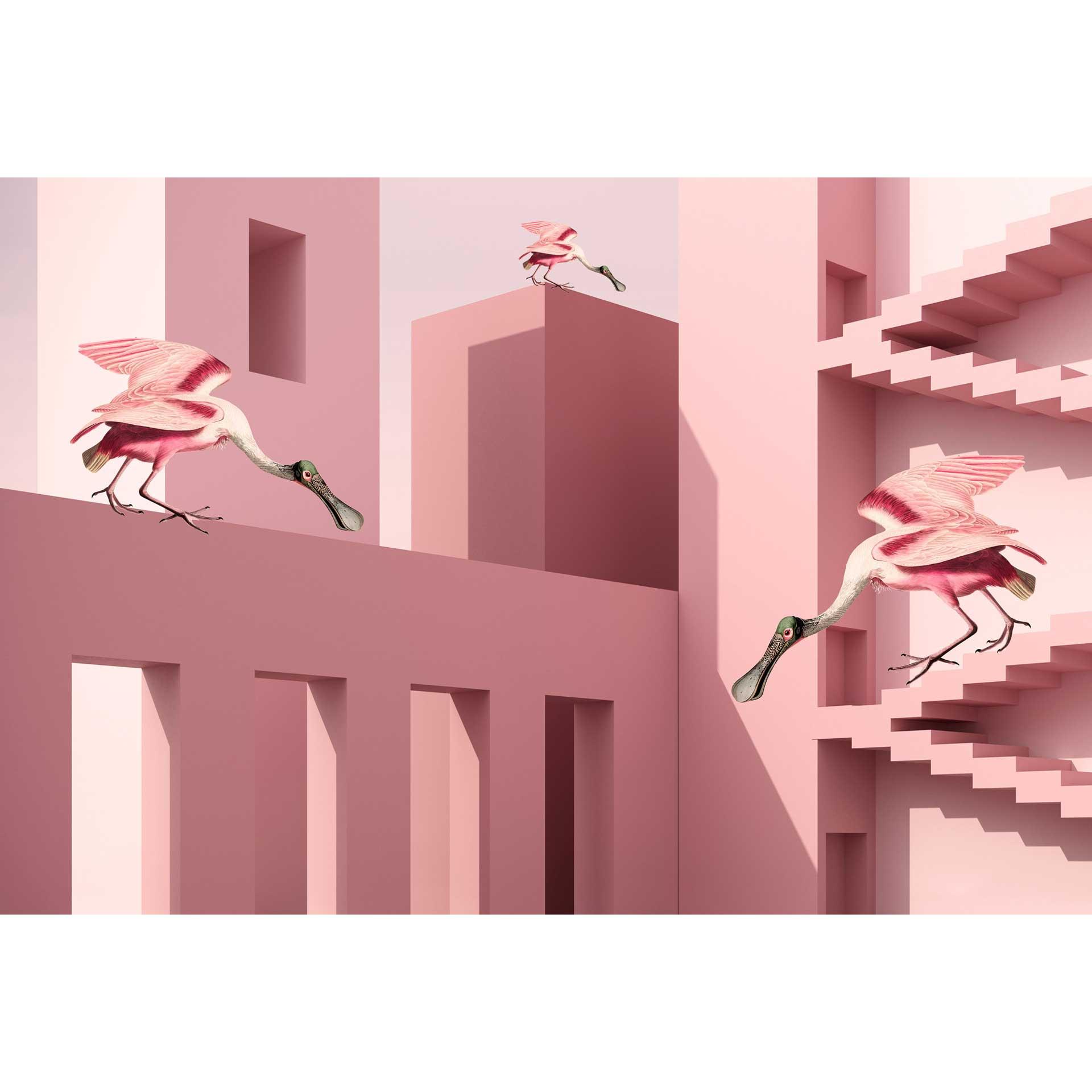 Surrealistisch vogelbehang in roze tinten - vliesbehang met architecturale elementen
