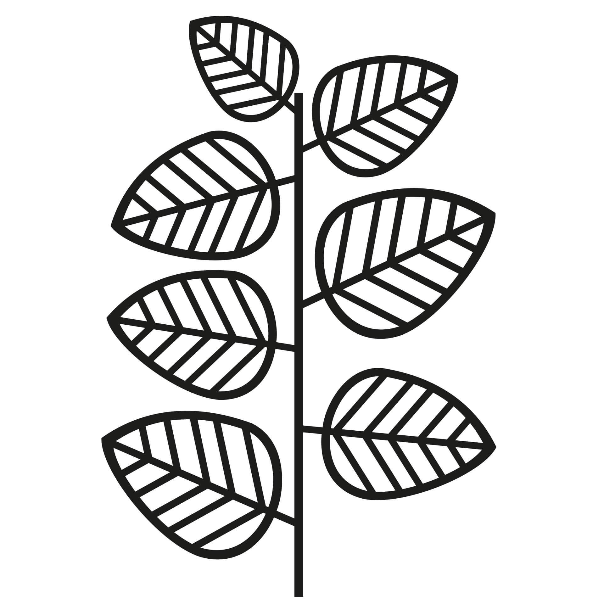 Muurstickers Junglebladeren