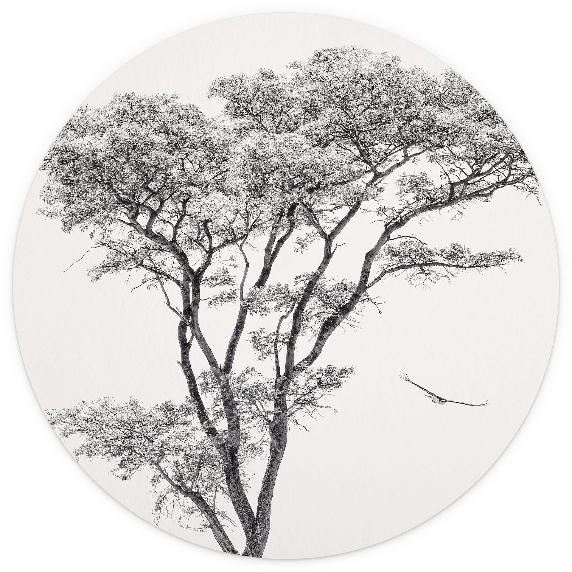Minimalistische boom in rustig landschap | natuur Fotobehang - Meel - rond - vliesbehang/zelfklevend